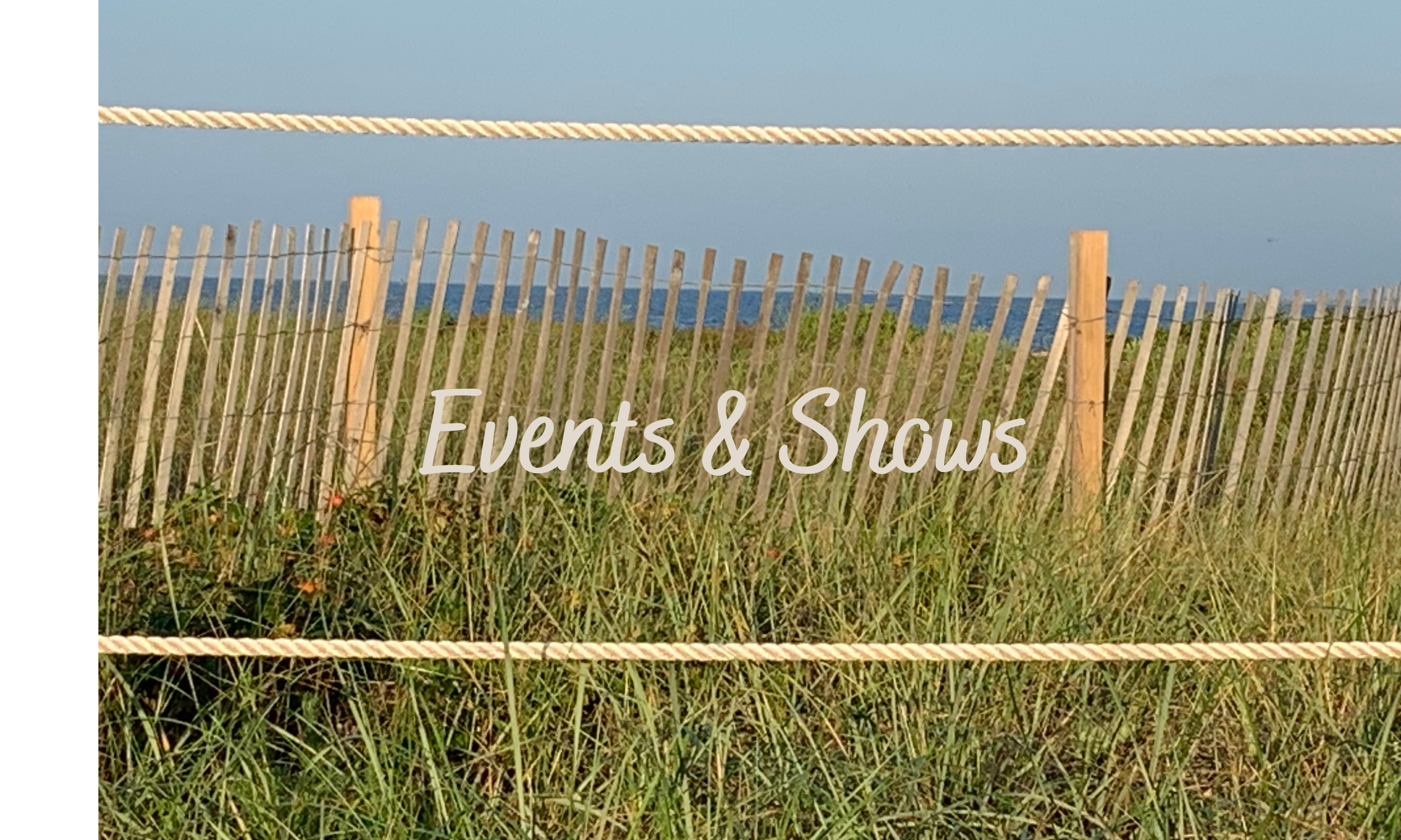 Website Banners (1).png