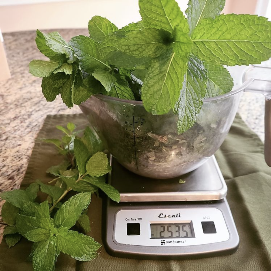 Screen Shot 2022-01-18 at 1.19.04 PM.png