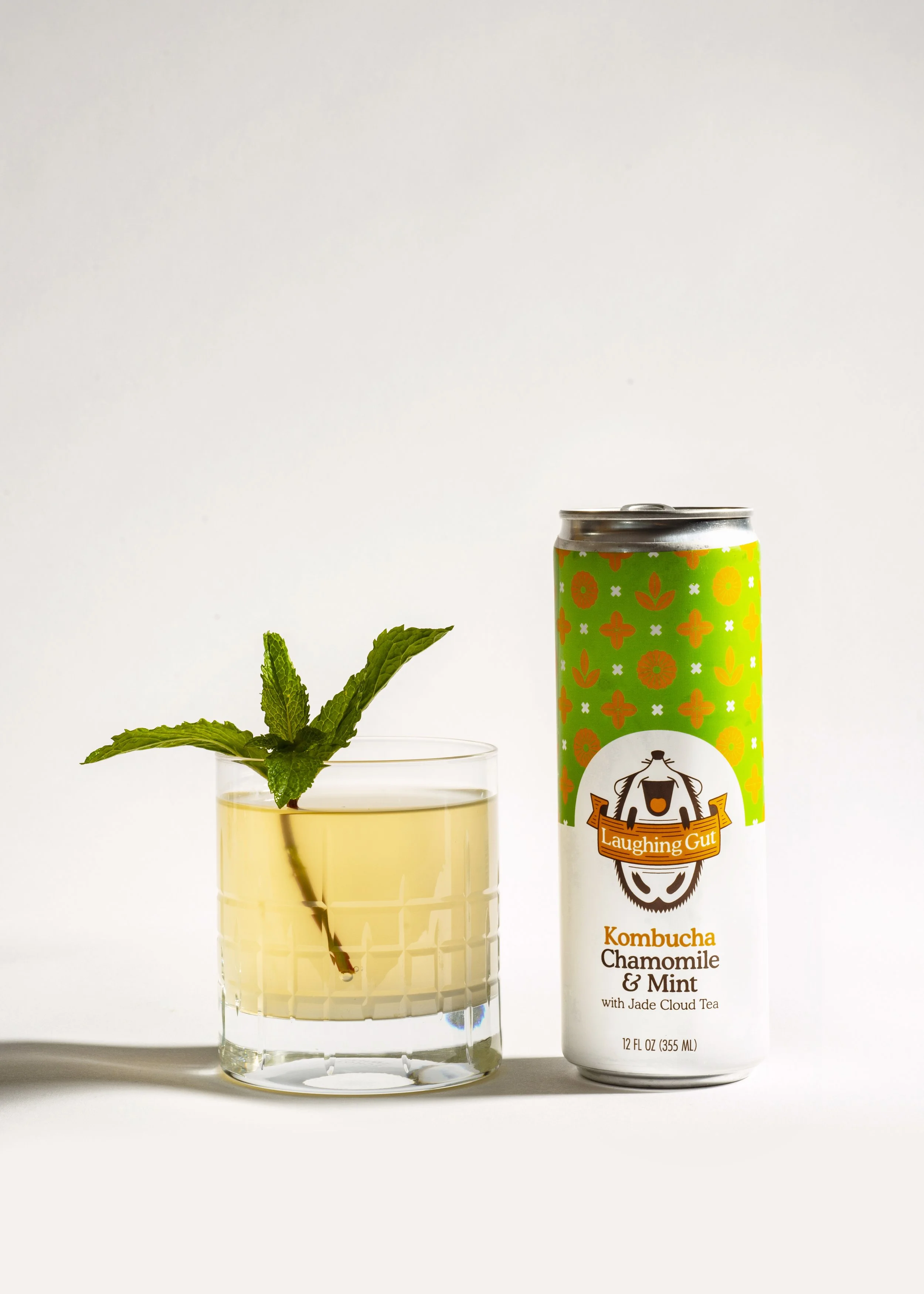kombucha-beverage-on-white-4.jpg