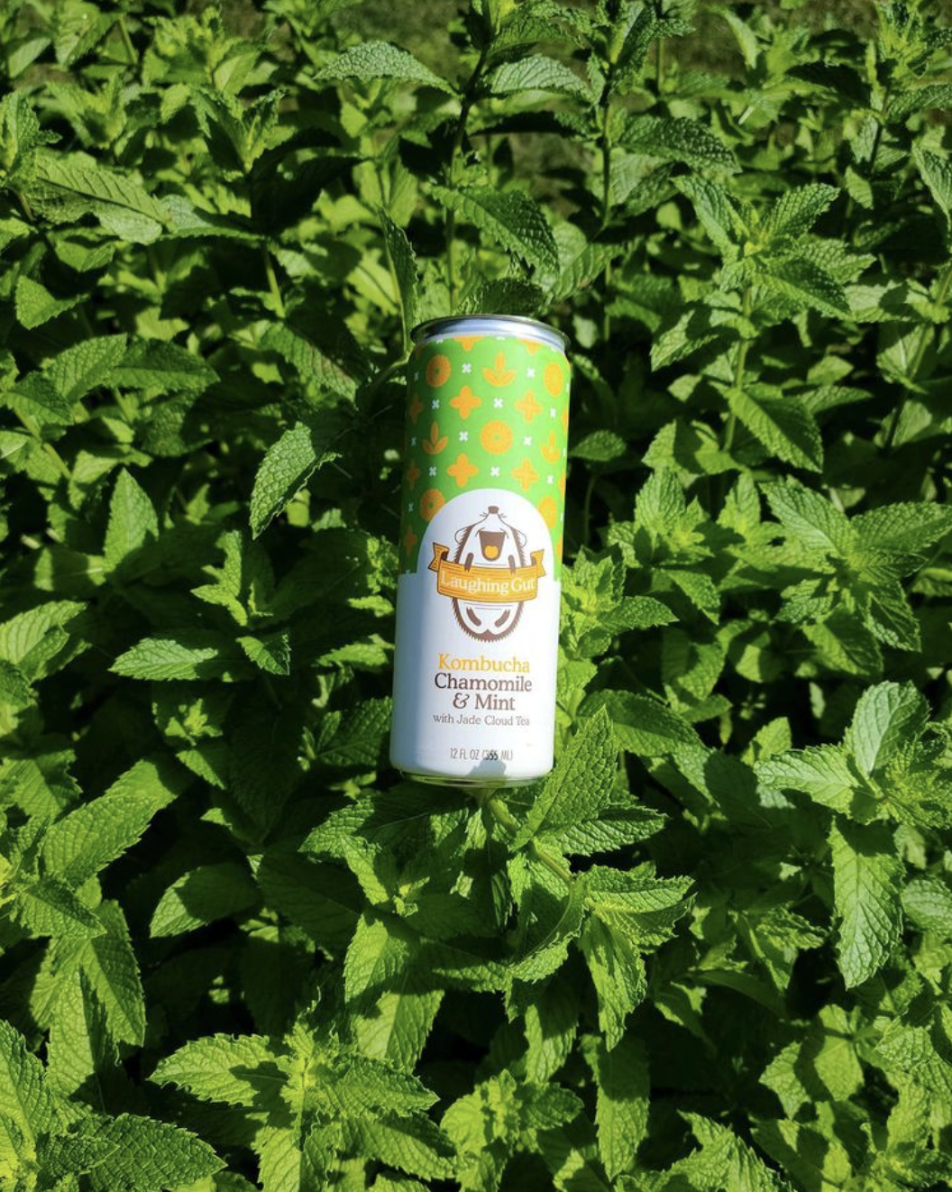 Screen Shot 2022-01-21 at 12.00.49 PM.png