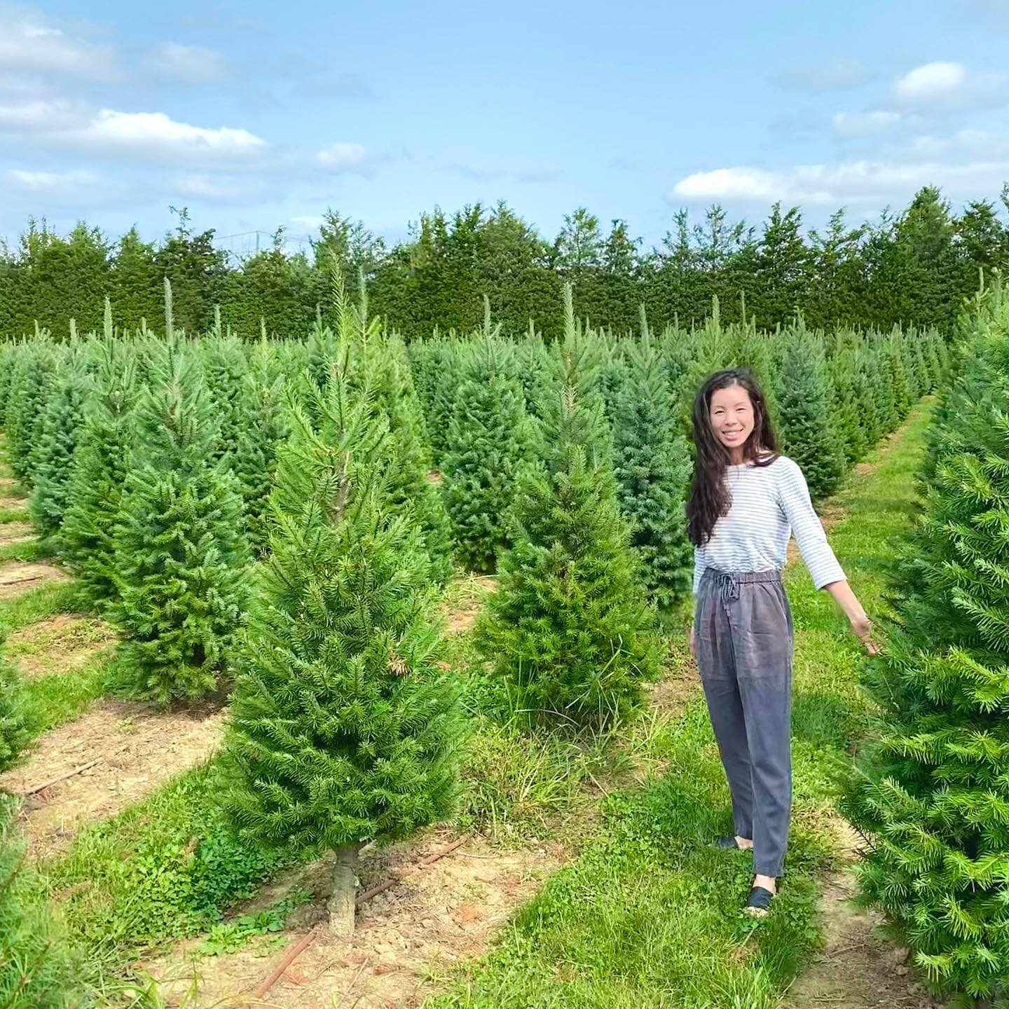 Yes to nature time 🌱🌲🍃 It is so healing, do you agree? We made a spontaneous pit stop to roam around in the Christmas tree farm because why not 😂 These crazy times can help us realize that we may have a lot more to be thankful for than we once th