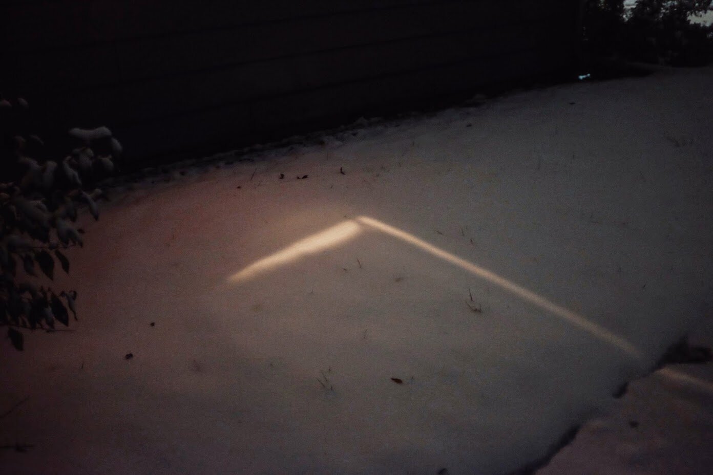 2019_1111_20260600-01-01.jpeg