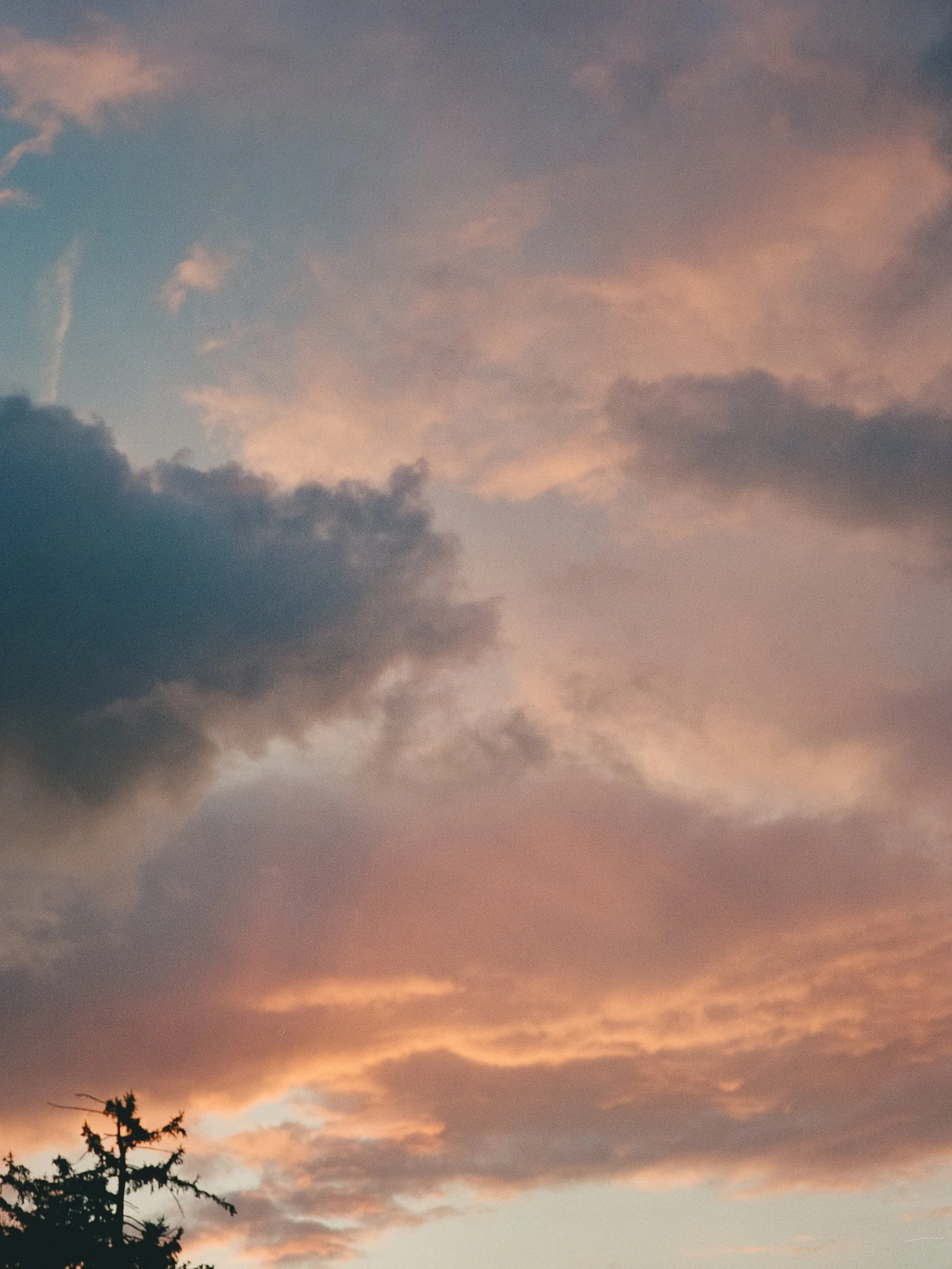 20250801-12.jpg