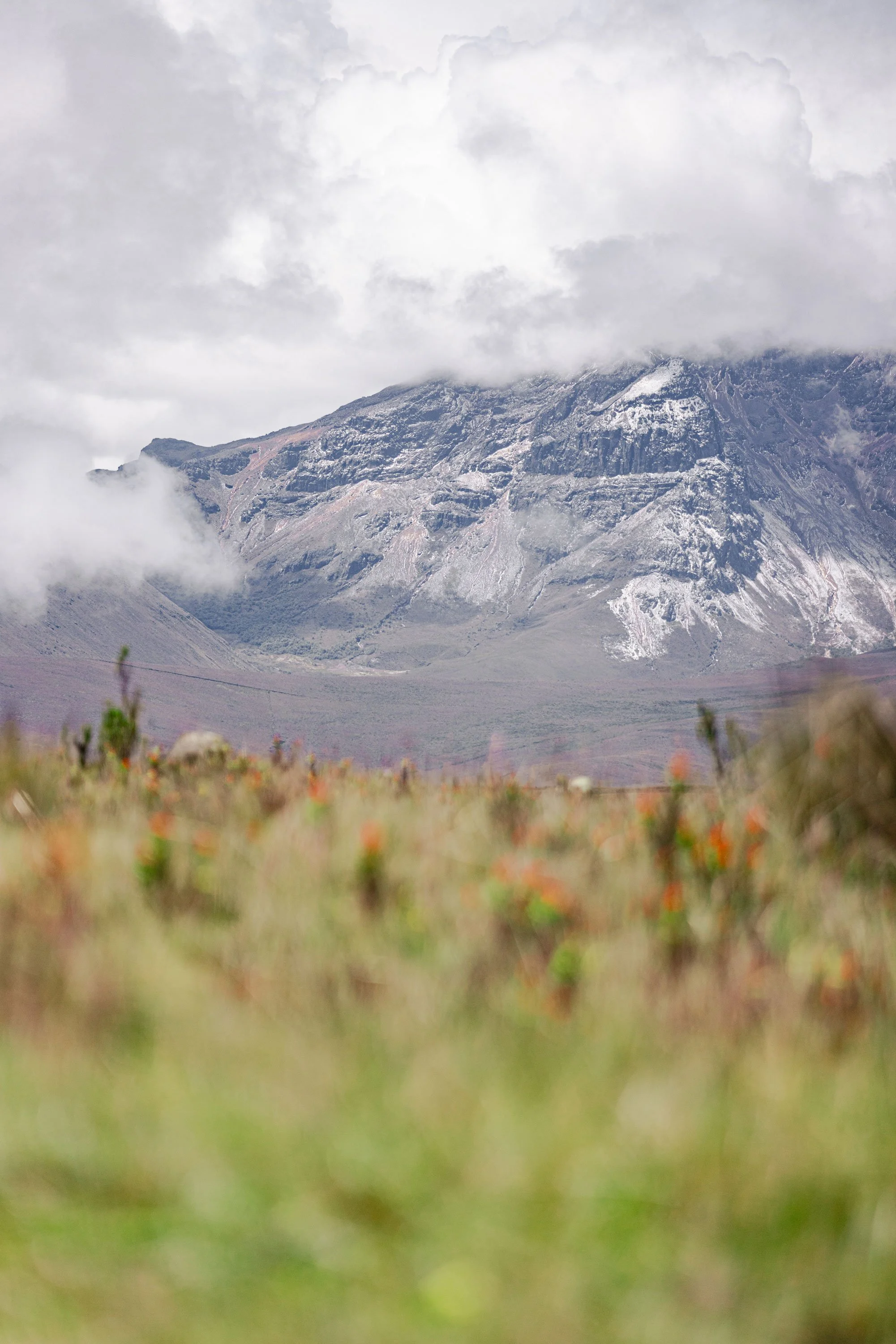 Ecuador00006.jpg