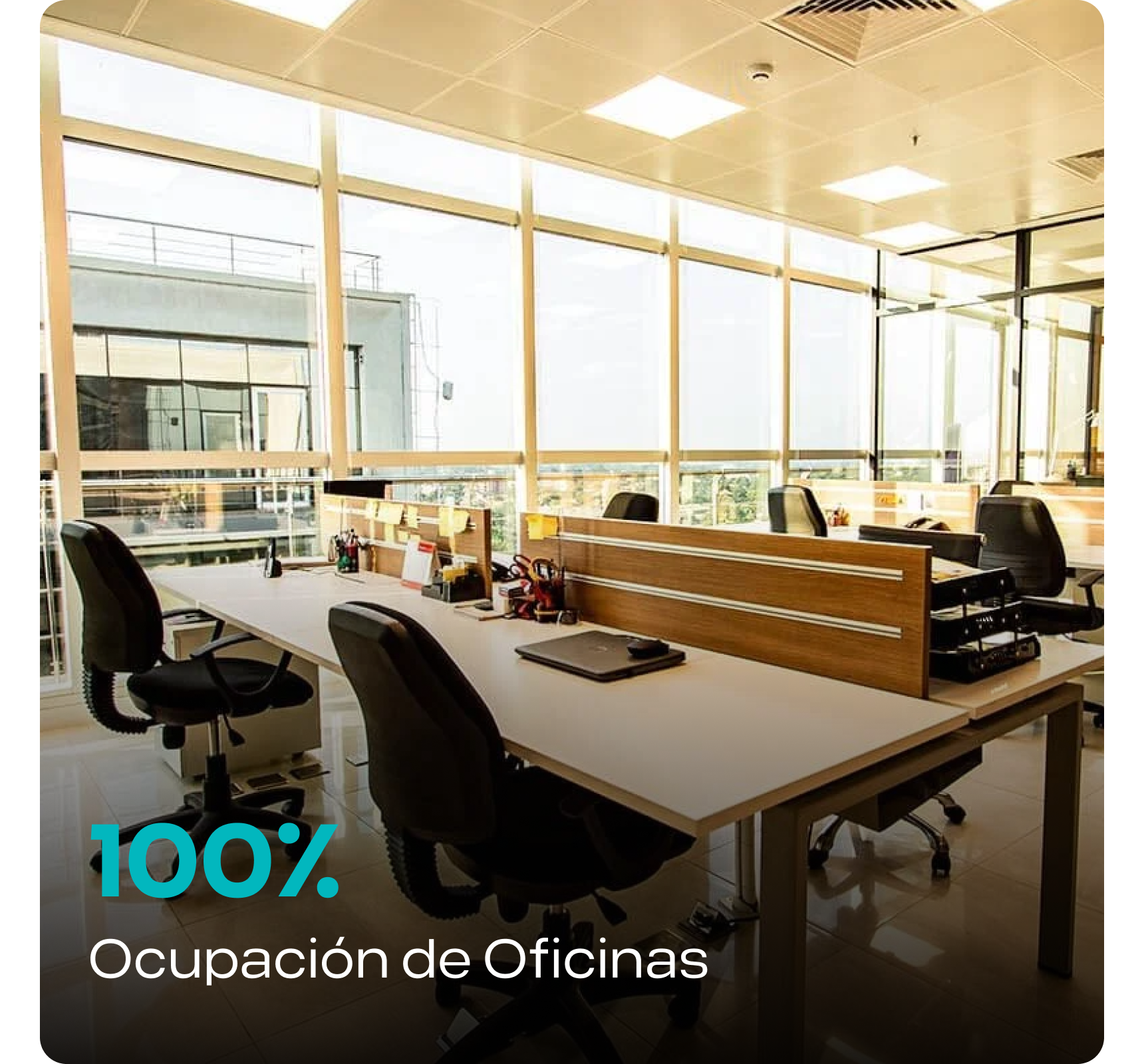 Ocupación.png