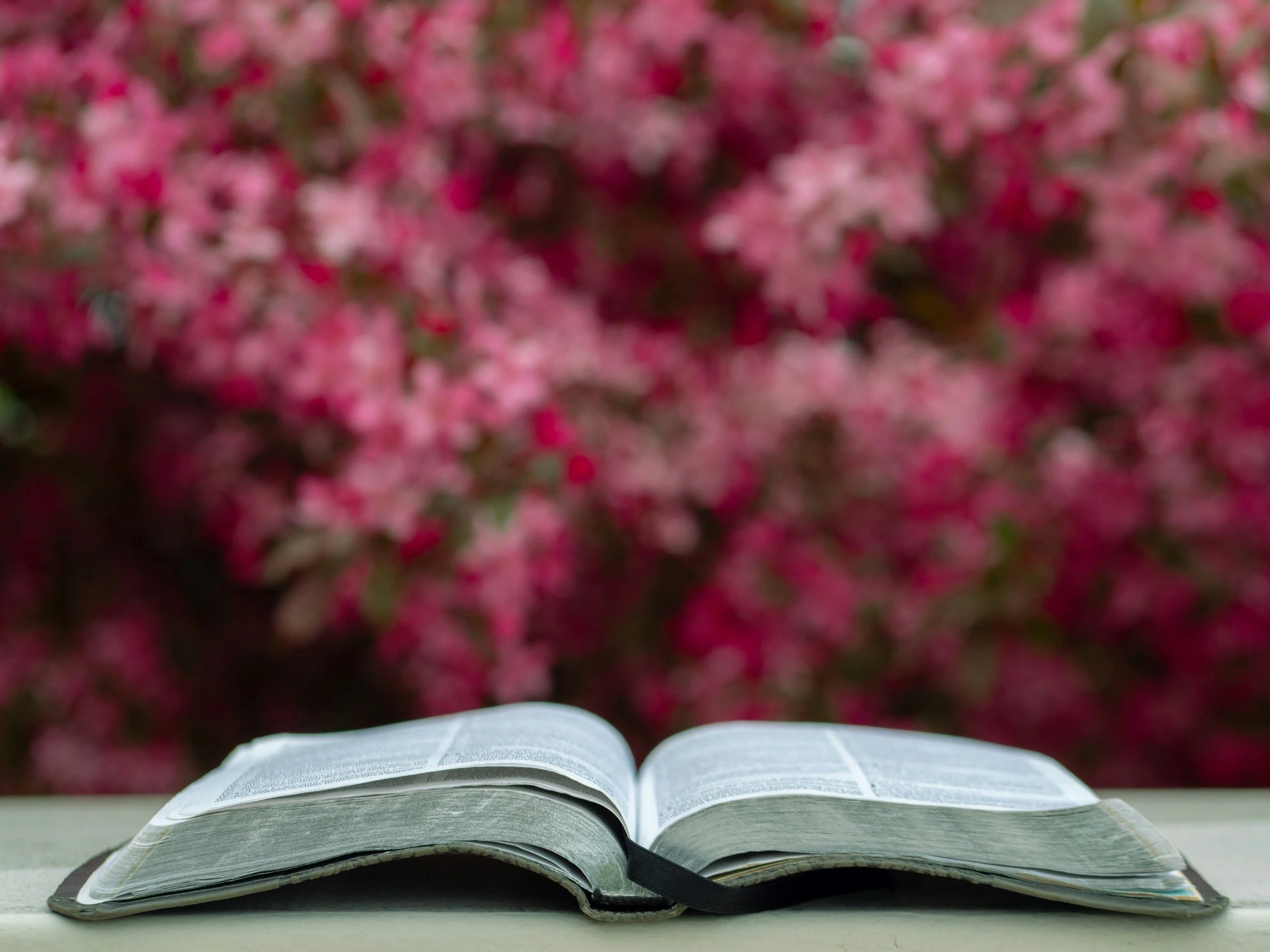 Part 1: When Becoming a New Creation Isn’t the End of the Healing Journey