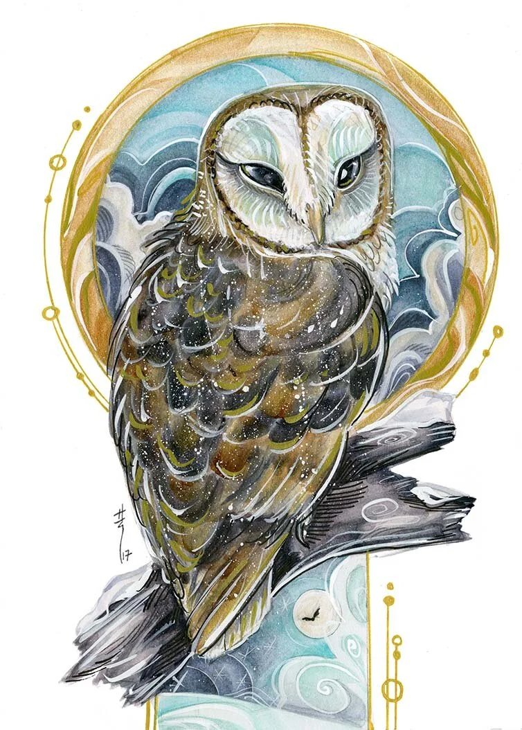 barn owl sketch post.jpg