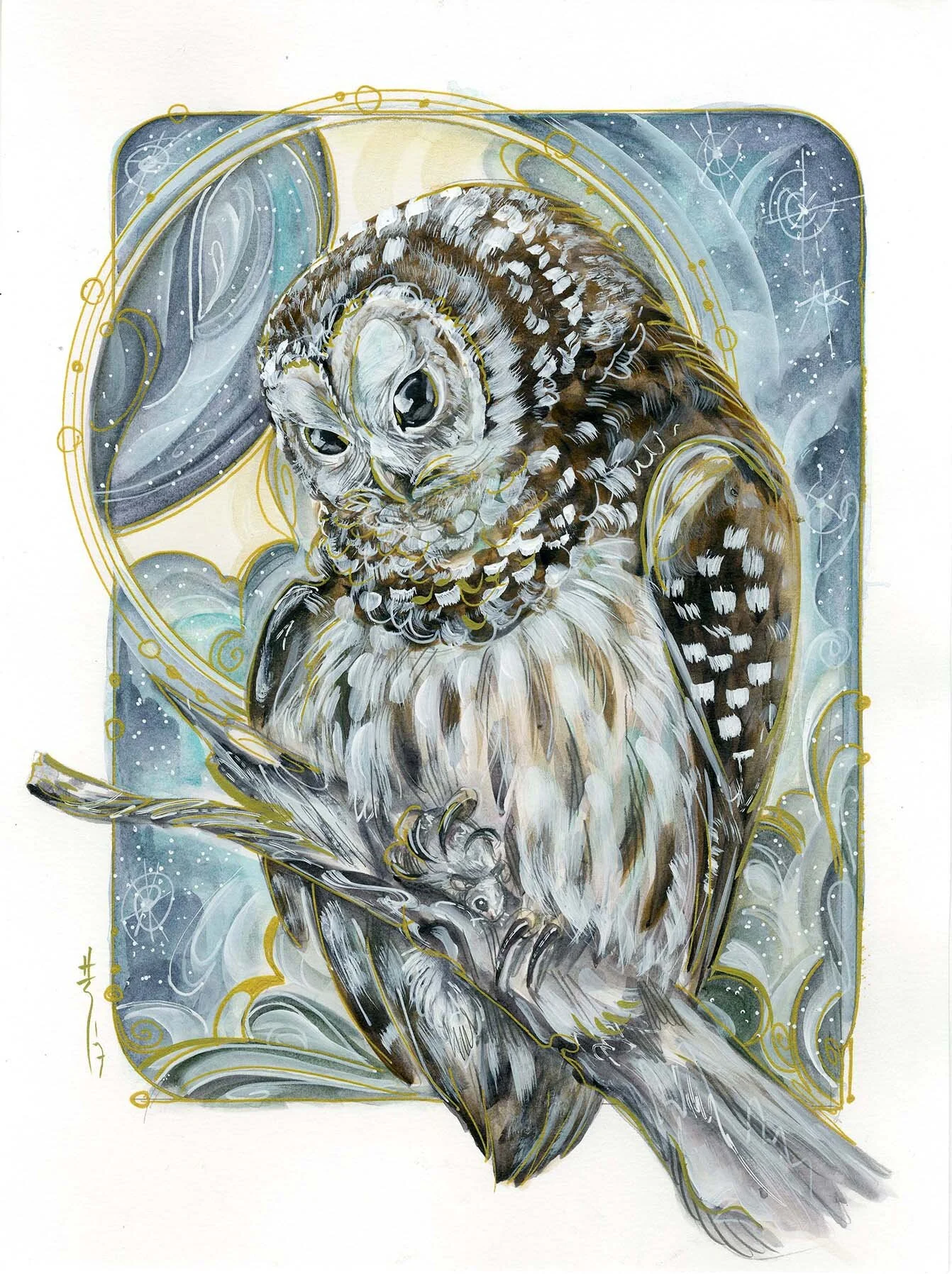 barred owl sketch post.jpg