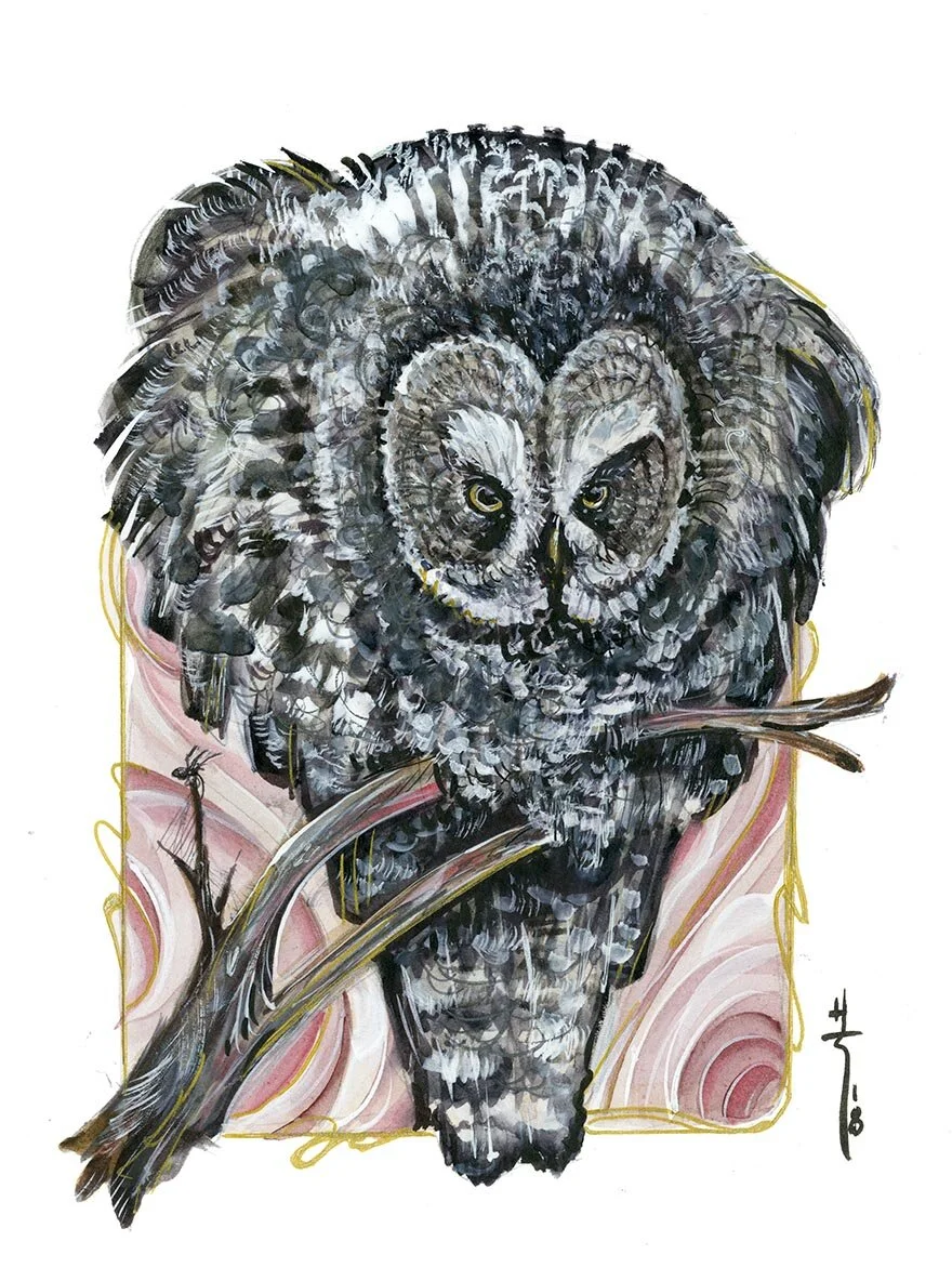 great gray owl post.jpg