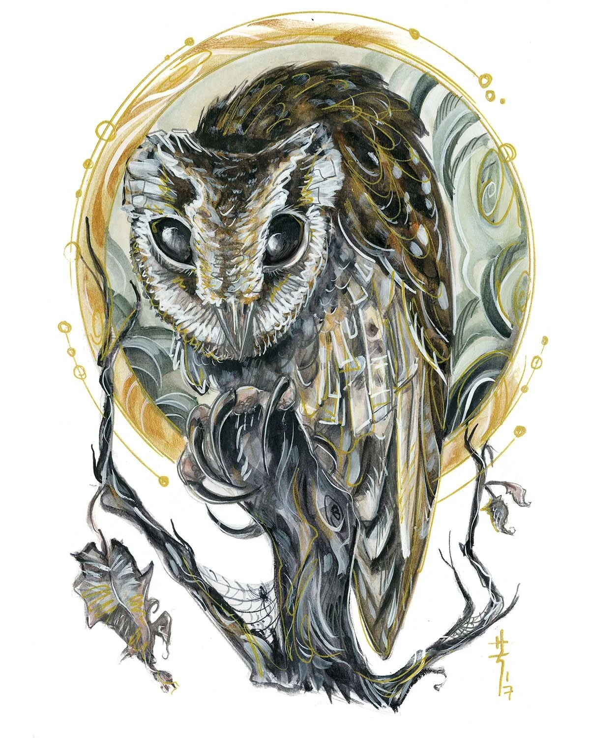 oriental bay owl post.jpg