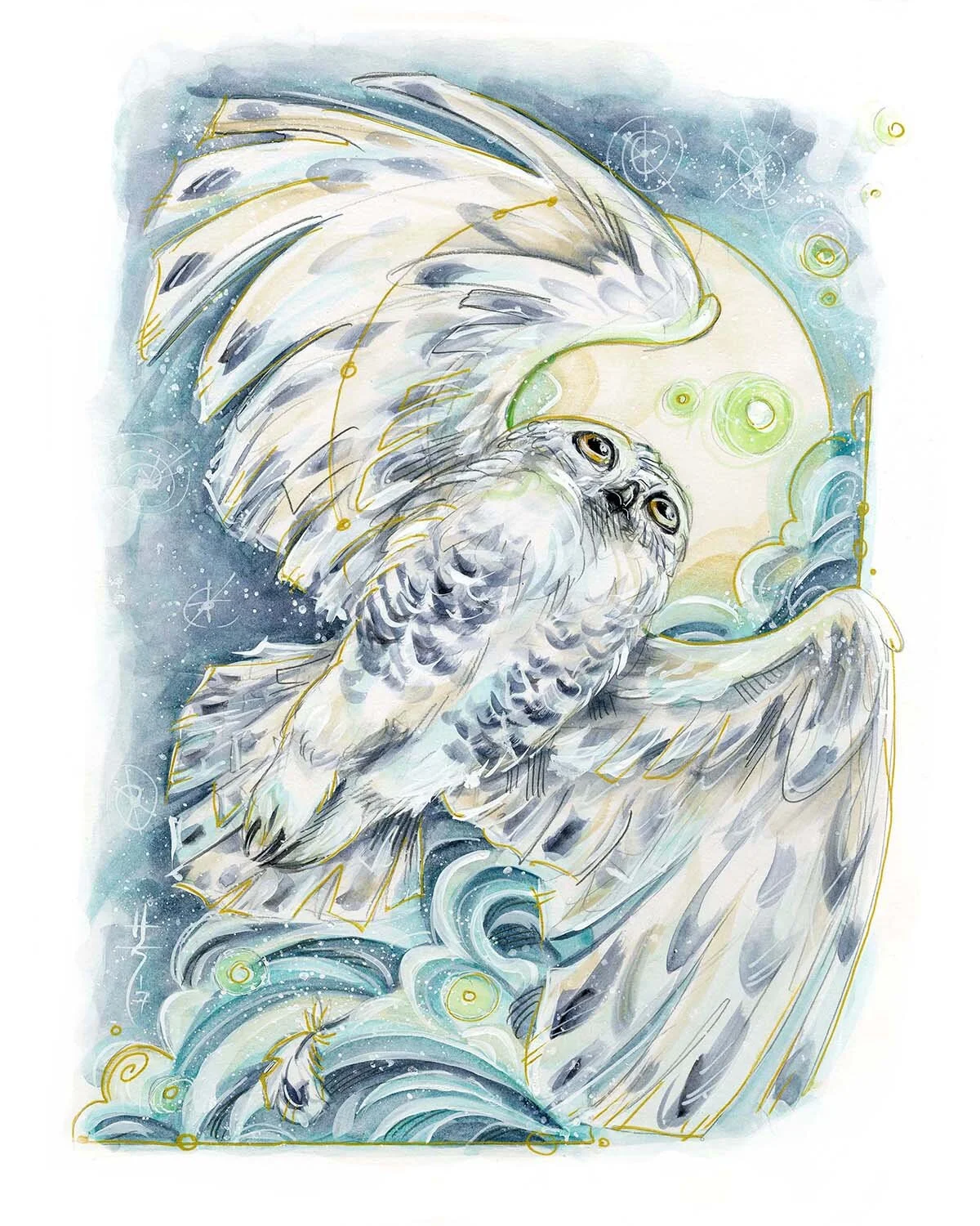 snowy owl sketch post.jpg