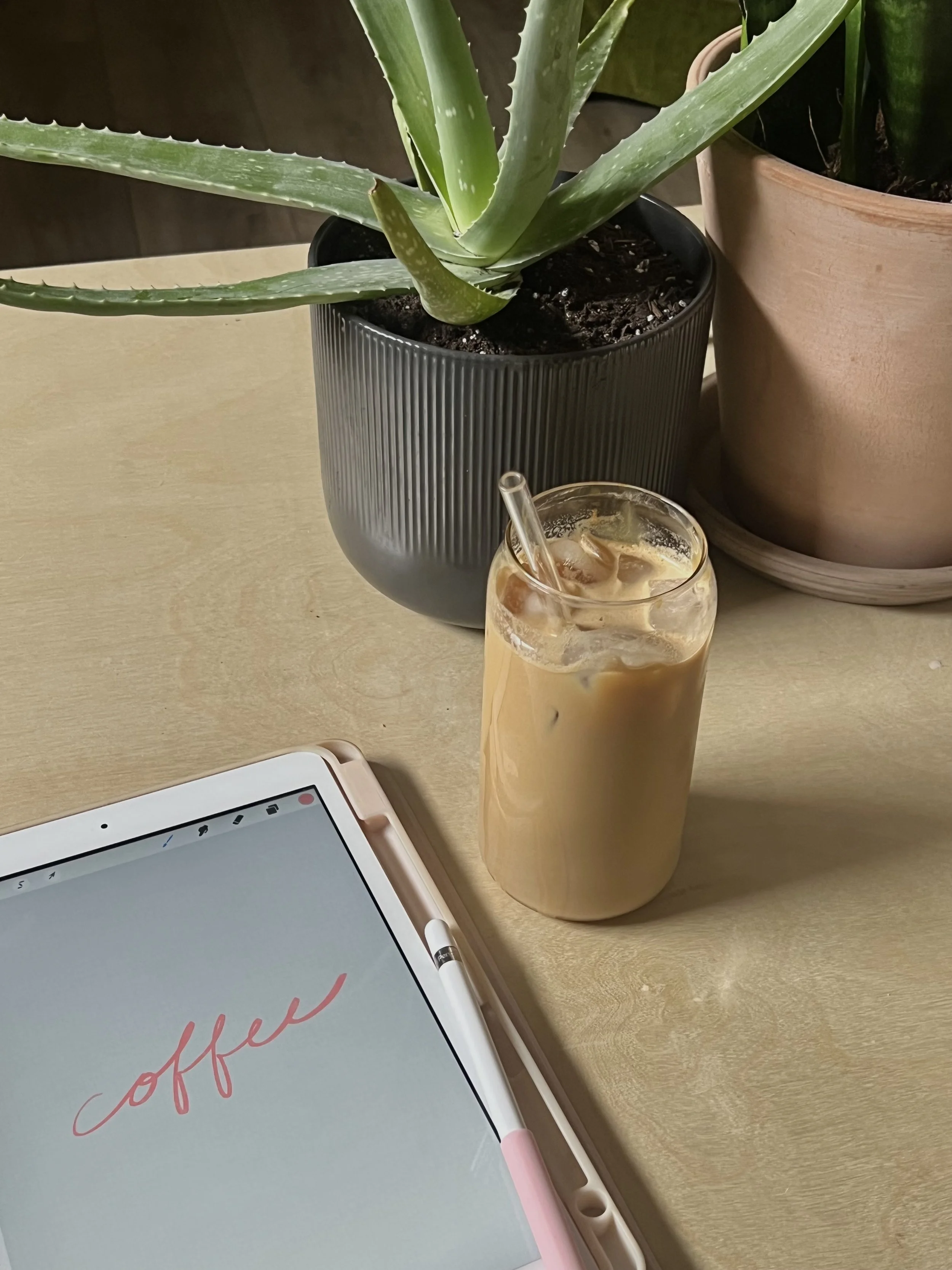 entrenamientos y capacitaciones patricia donuz