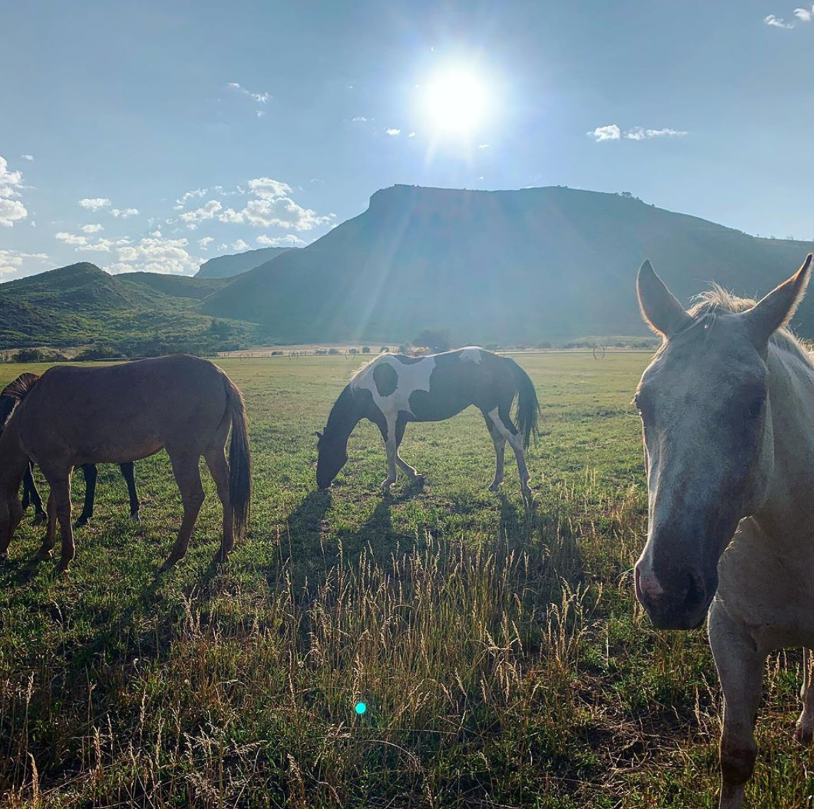  Morning at the Chinook Ranch! Posted by @domicote. 