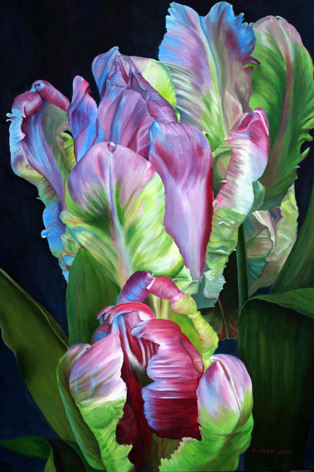 Fringed Tulips