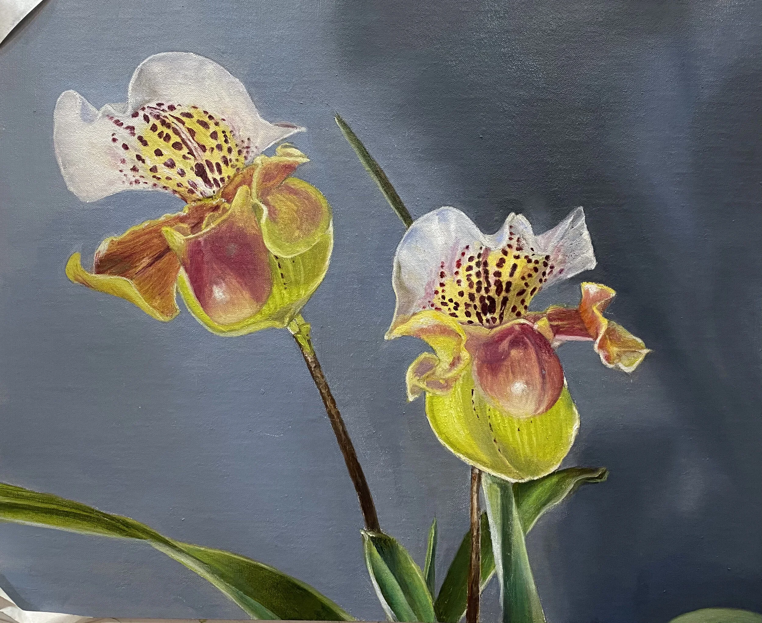 Lady Slipper Orchid: Whispering