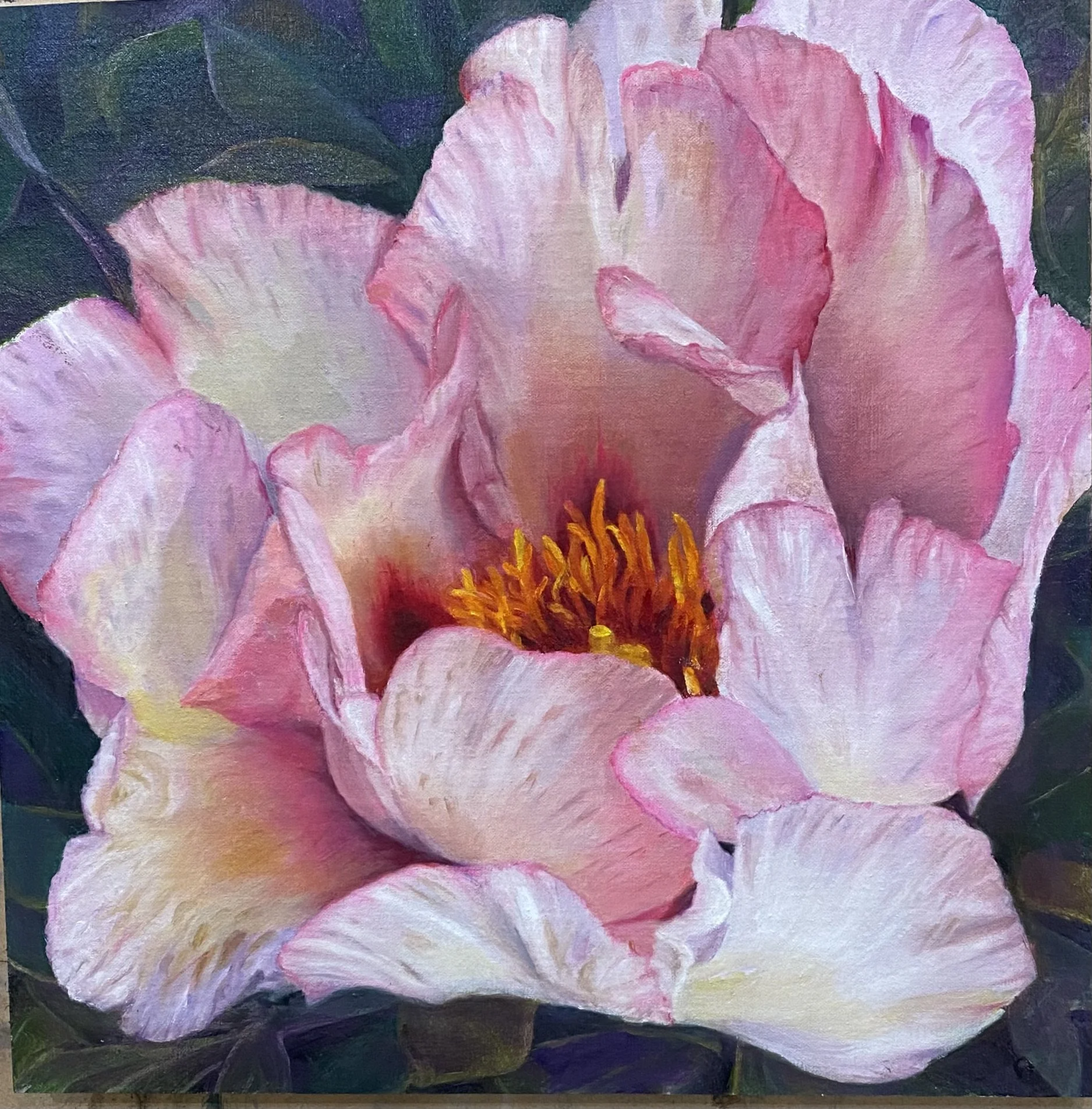 Tree Peony 2021