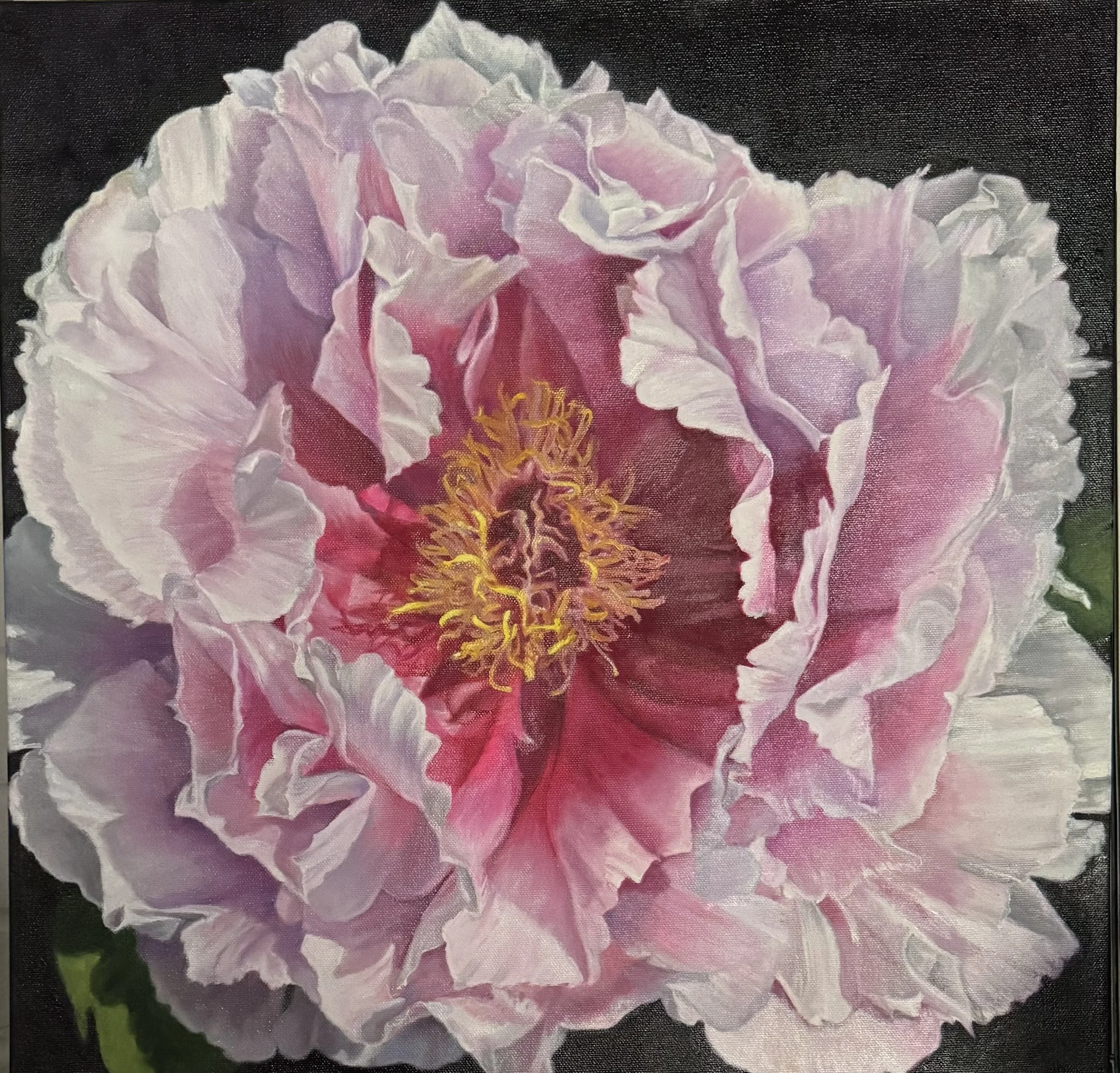 Preposterous Tree Peony