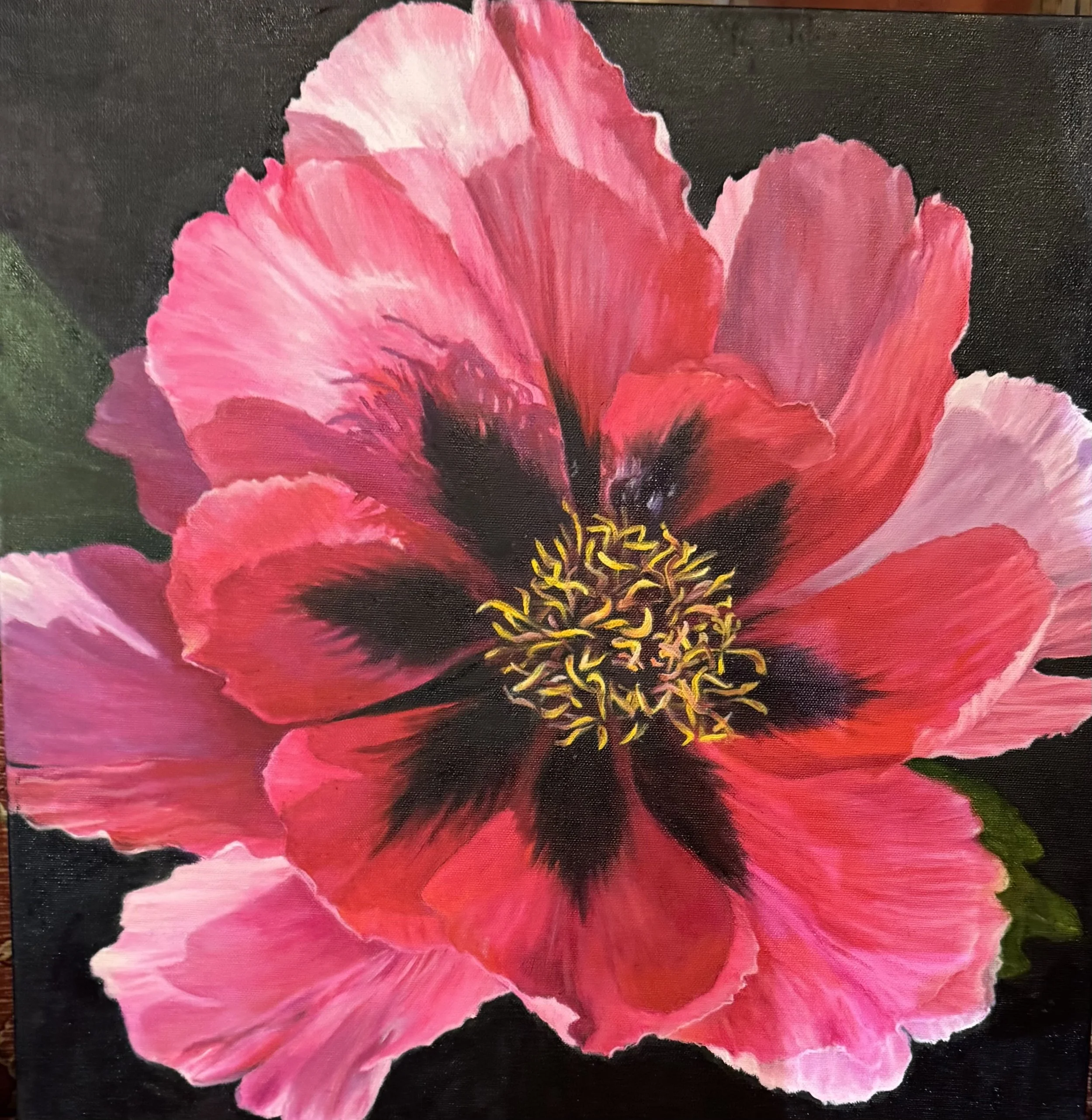 Ravishing Red Tree Peony