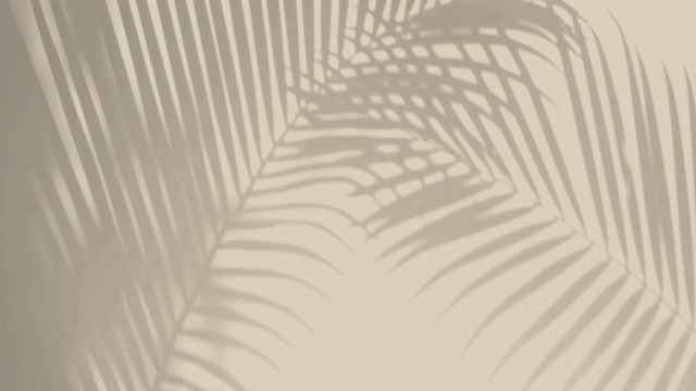BackgroundVideo.gif