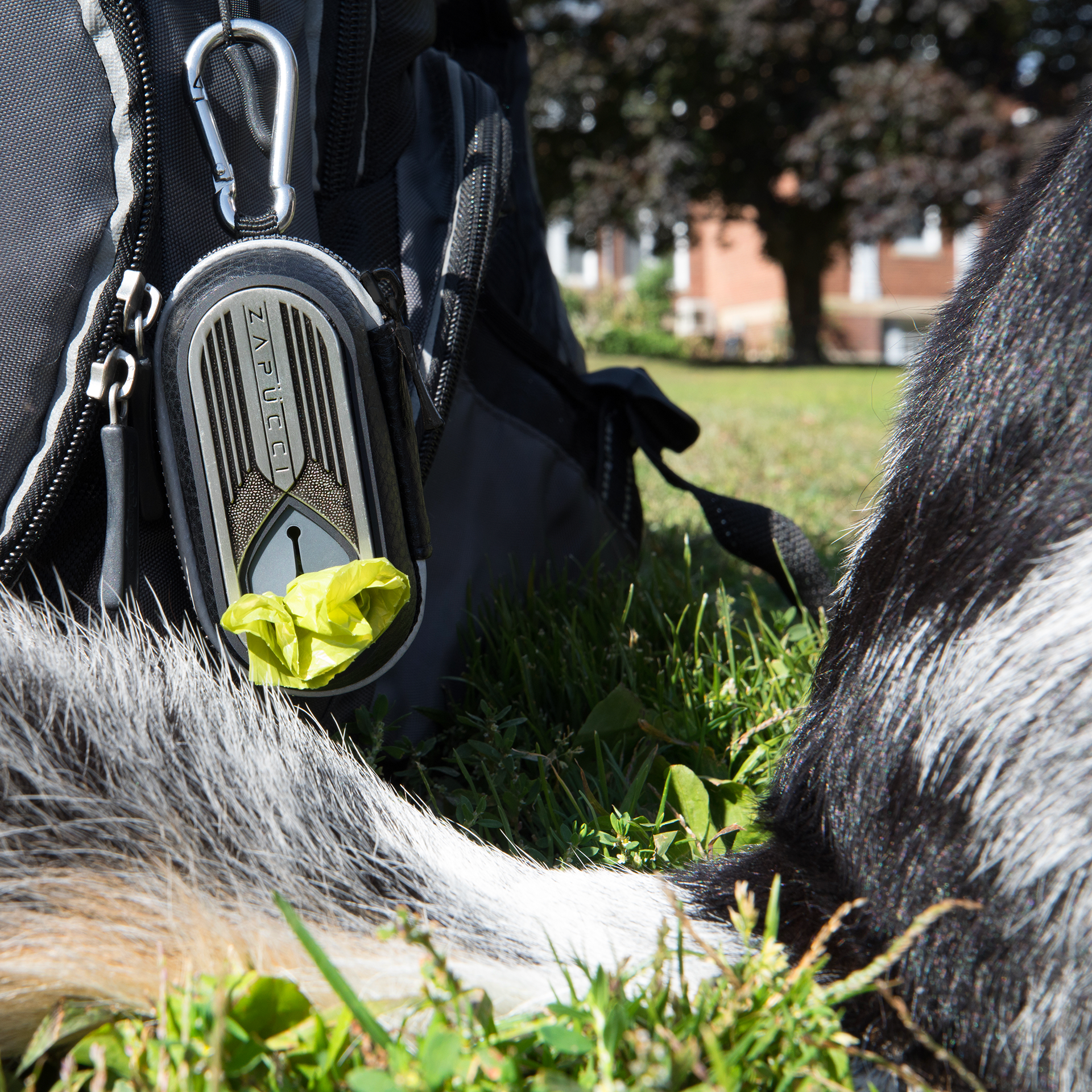 zapucci-outside-clipped-to-bag2.png
