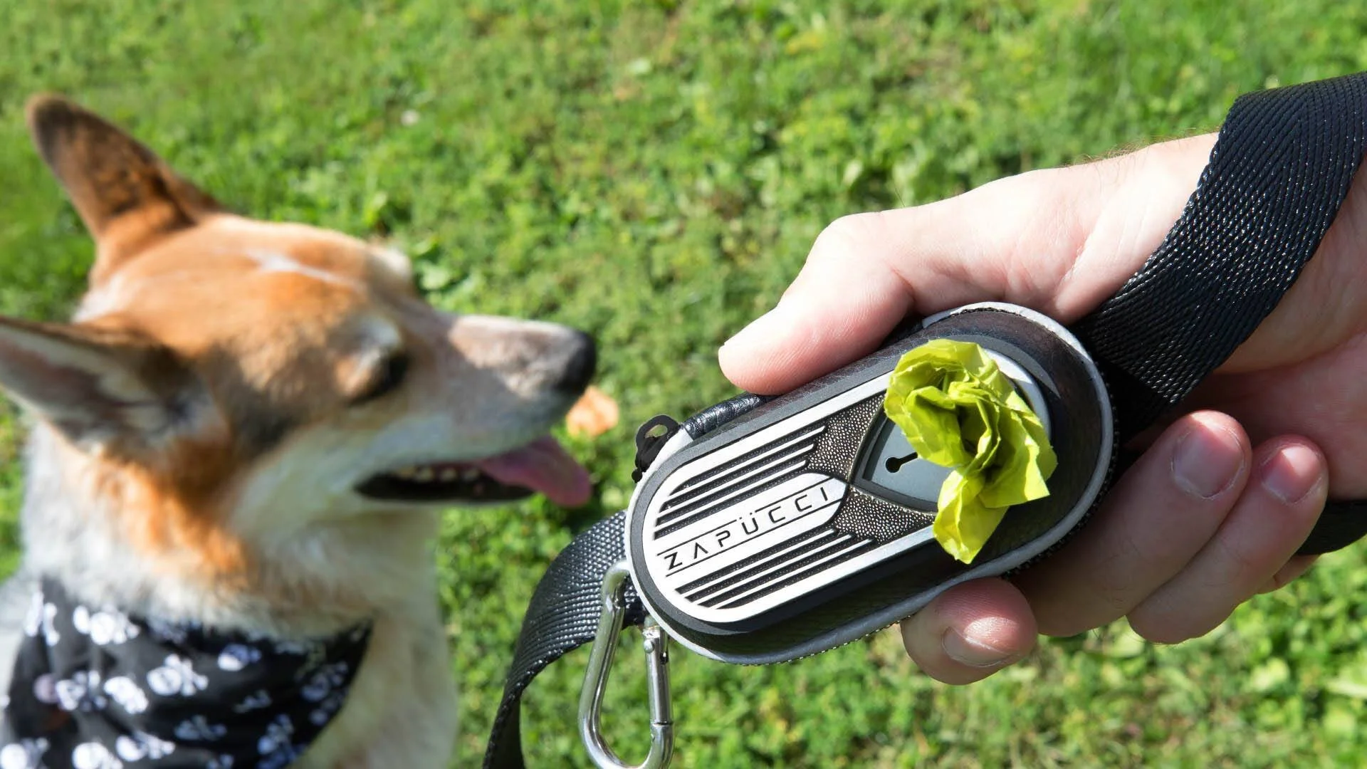 zapucci-outside-on-leash-with-dog.jpg