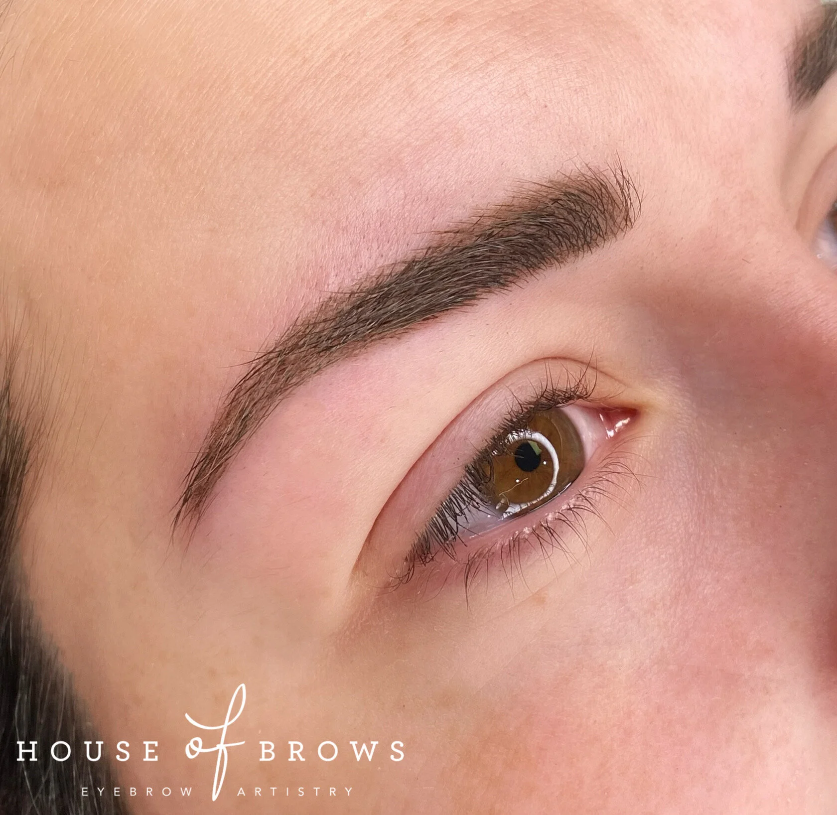 Permanent Brows — Little House of Brows