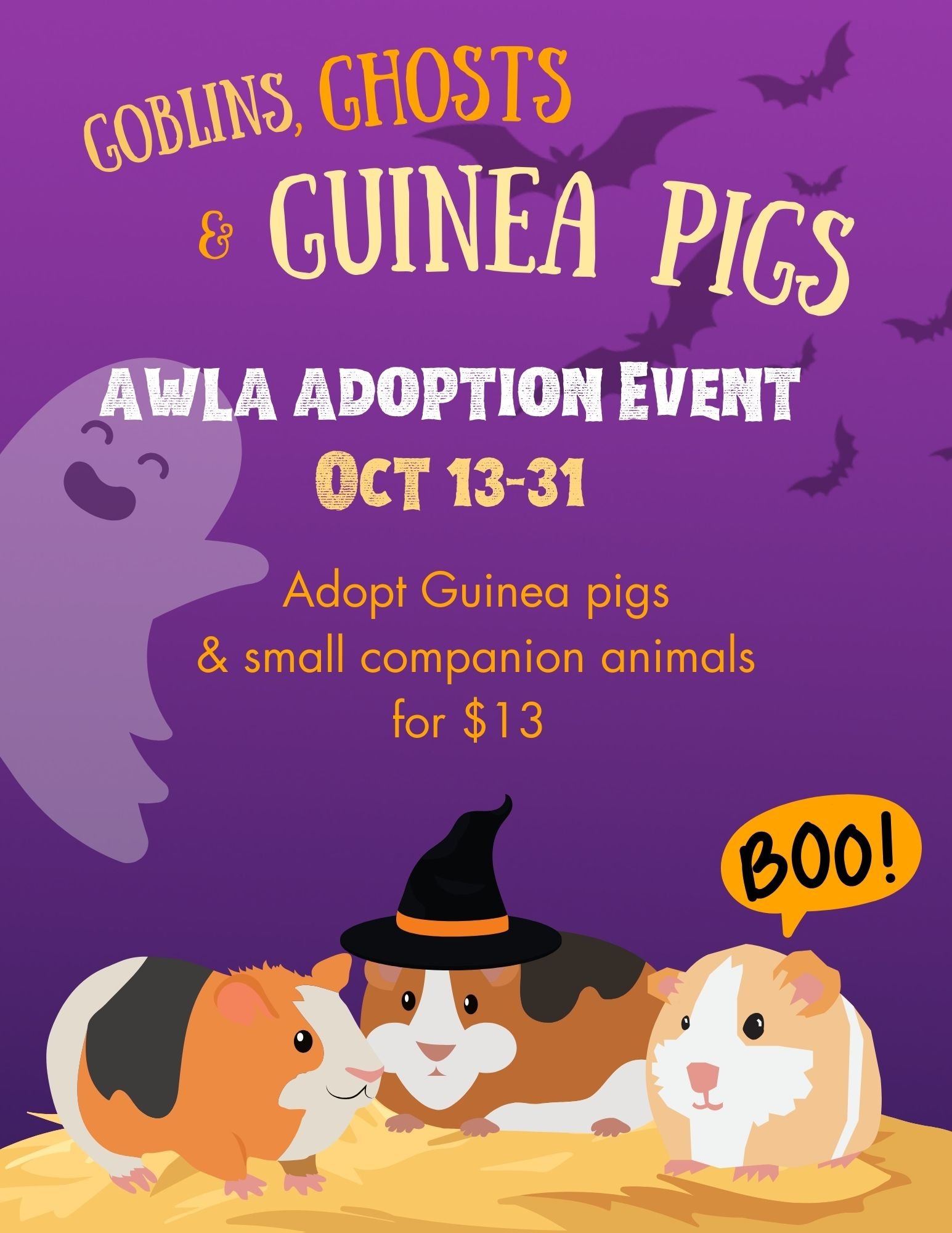 Guinea Pig Event.jpg