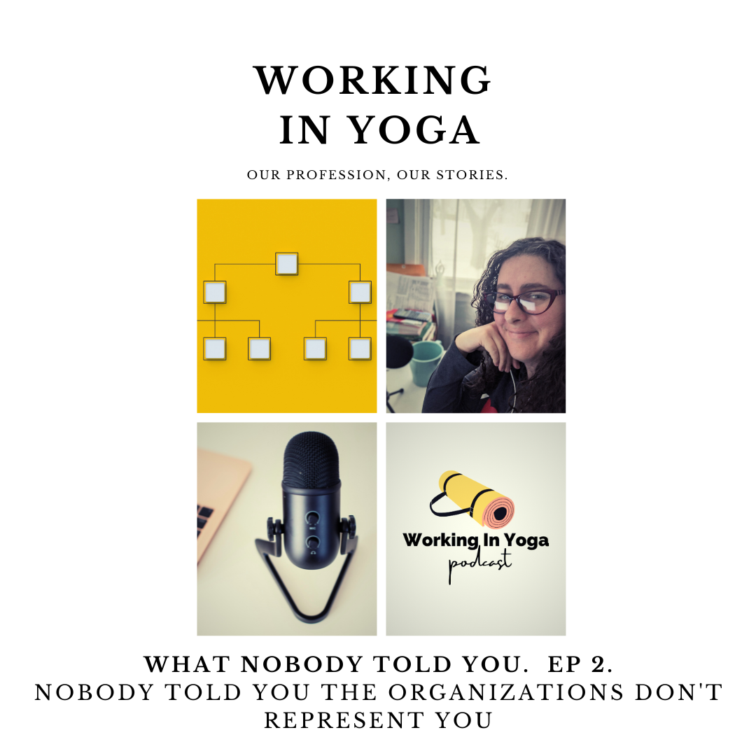 What Nobody Told You:  The Organizations Don't Actually Represent You.