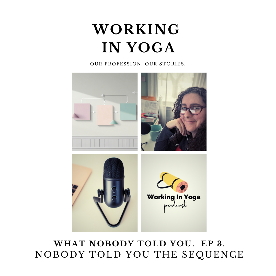 What Nobody Told You:  Nobody Told You The Sequence.