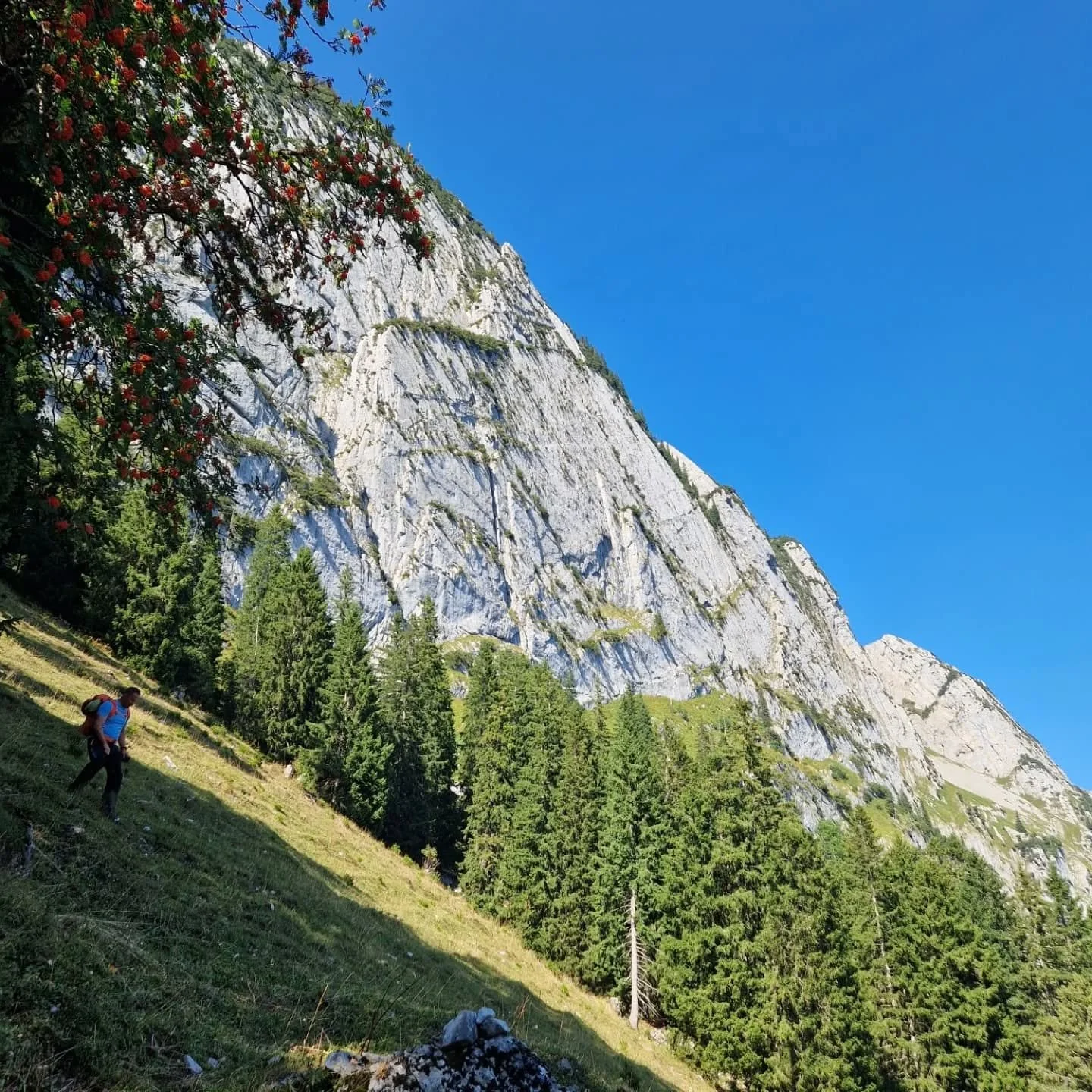Schafberg