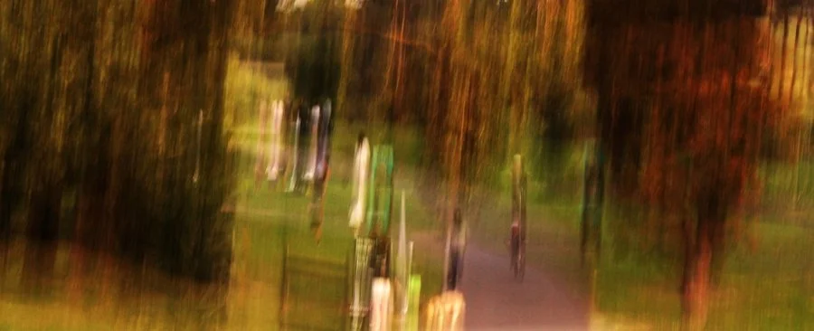 Evening stroll | Mary-Ann Moore