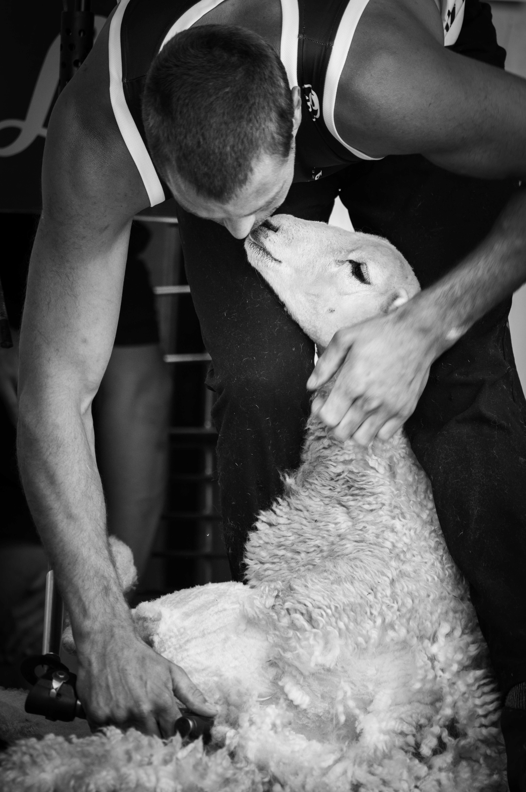 Screen Shot 2019-10-22 at 1.13.39 PM.png