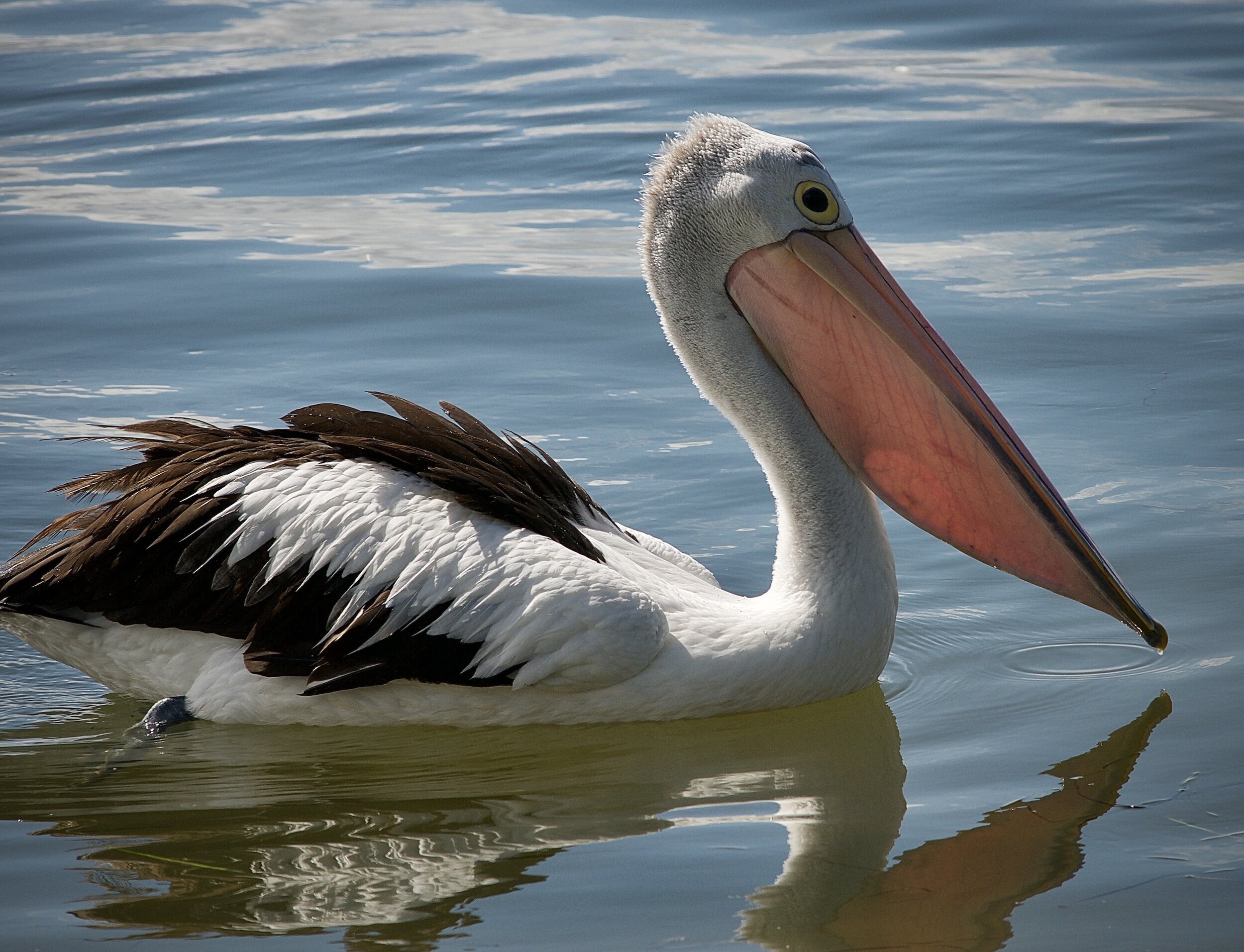 21_Bird's eye viewDSC7601.jpg
