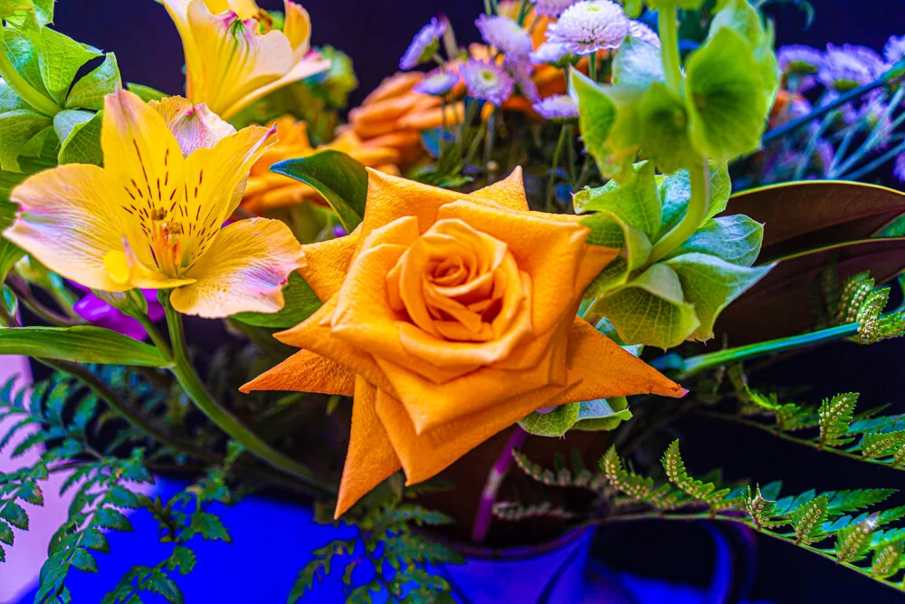 33_A_O_get well soon.jpg