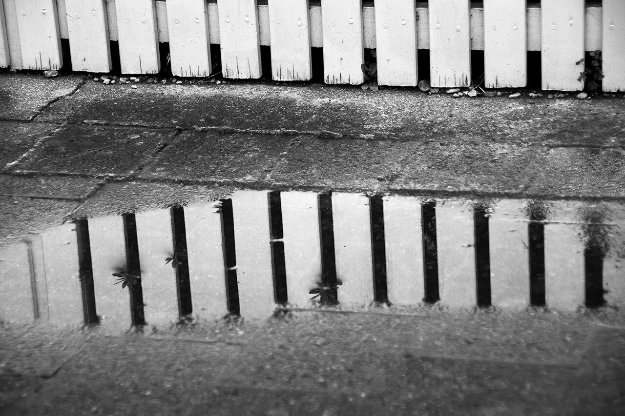 36_A_O_Fenced In.jpg