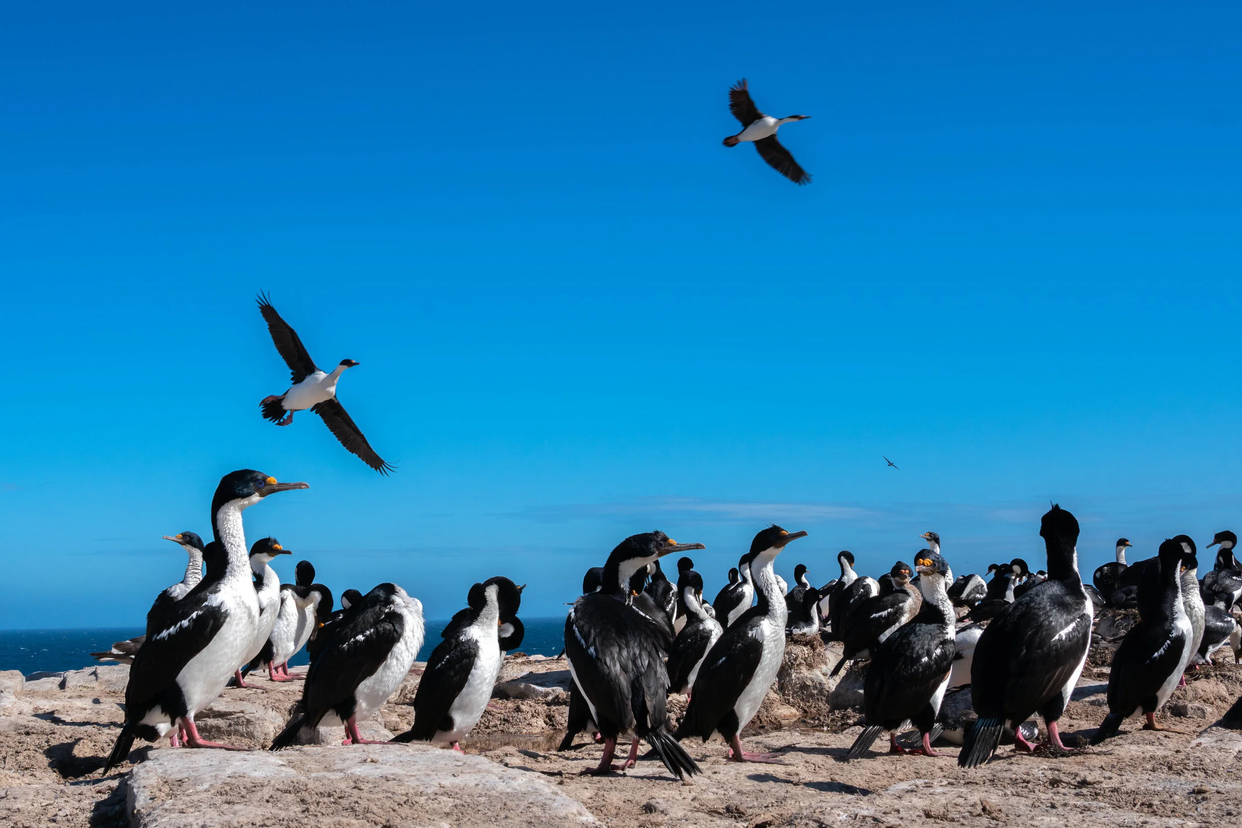 45_M_O_Coming in to land.jpg