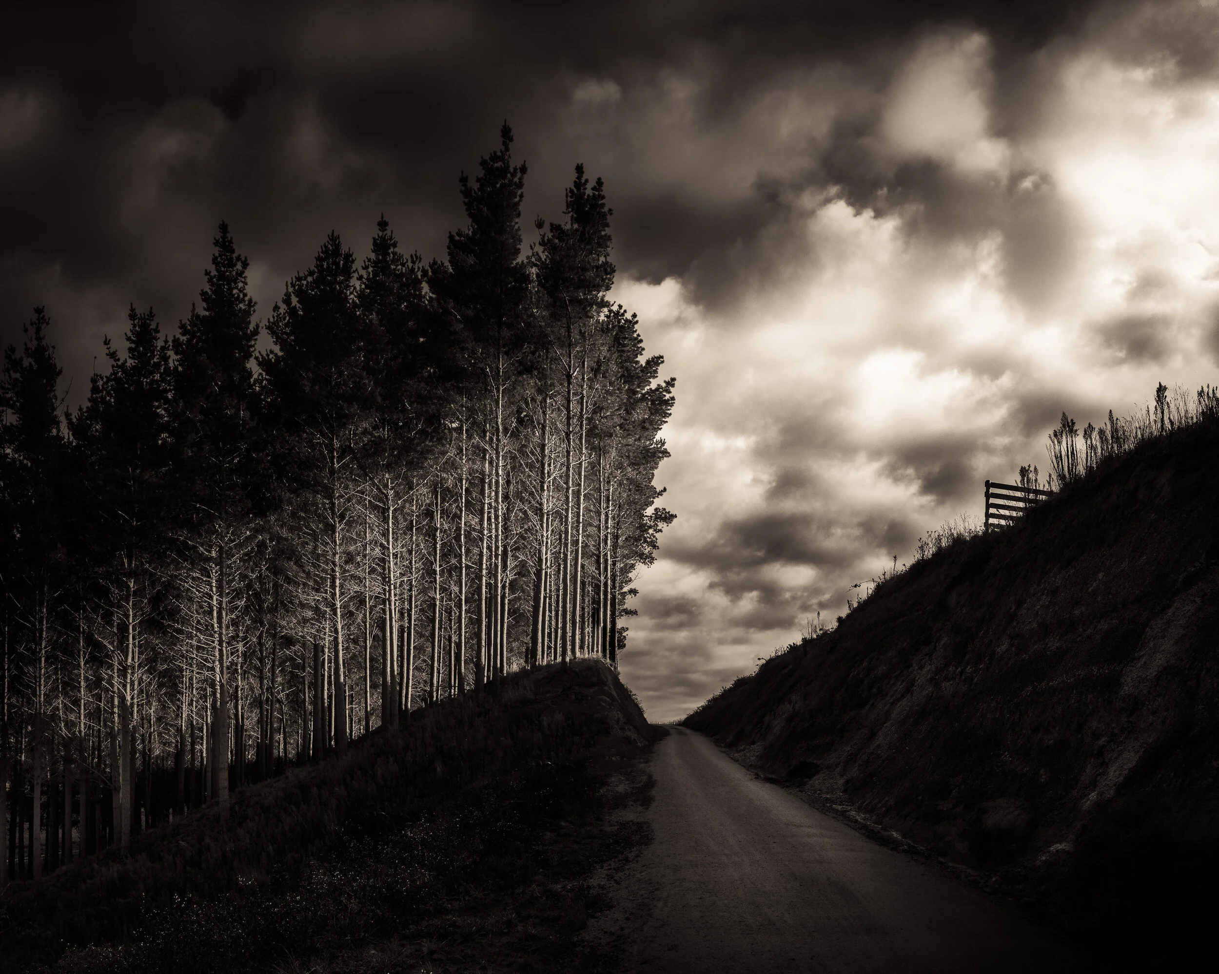 46_M_O Early_Morning_Light.jpg