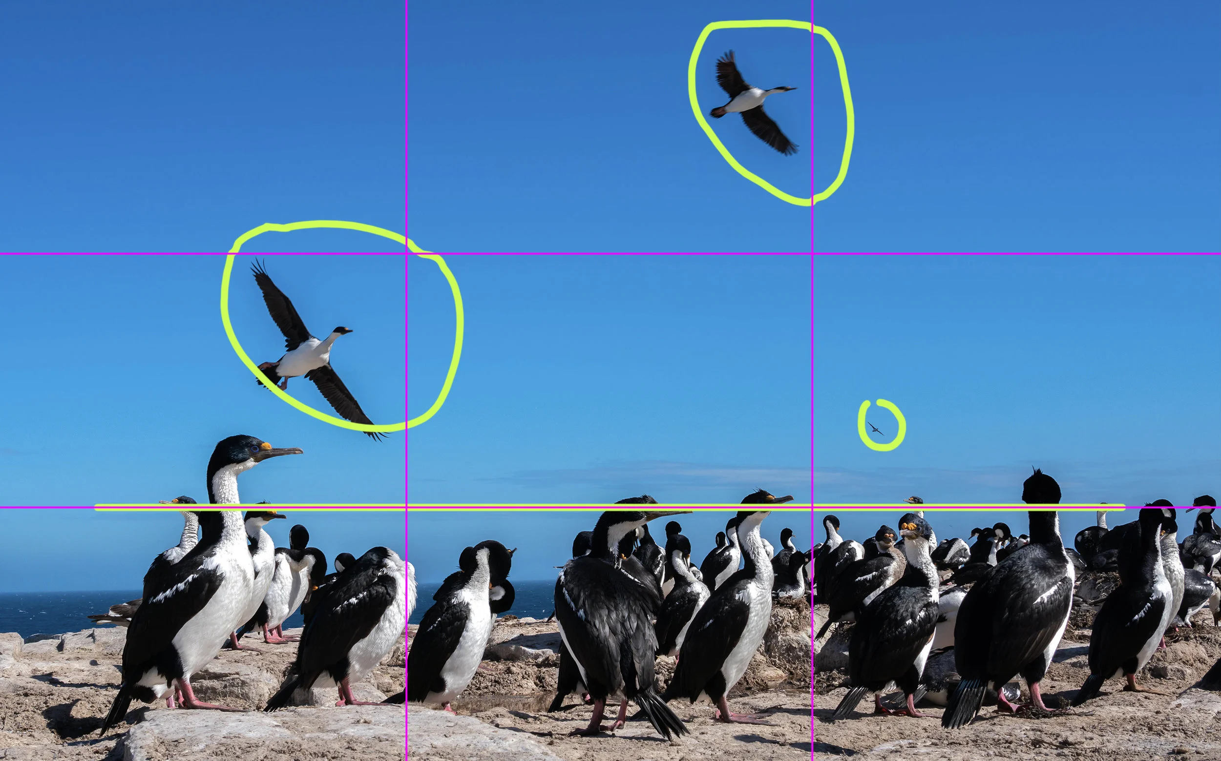 Simple Composition Guidelines