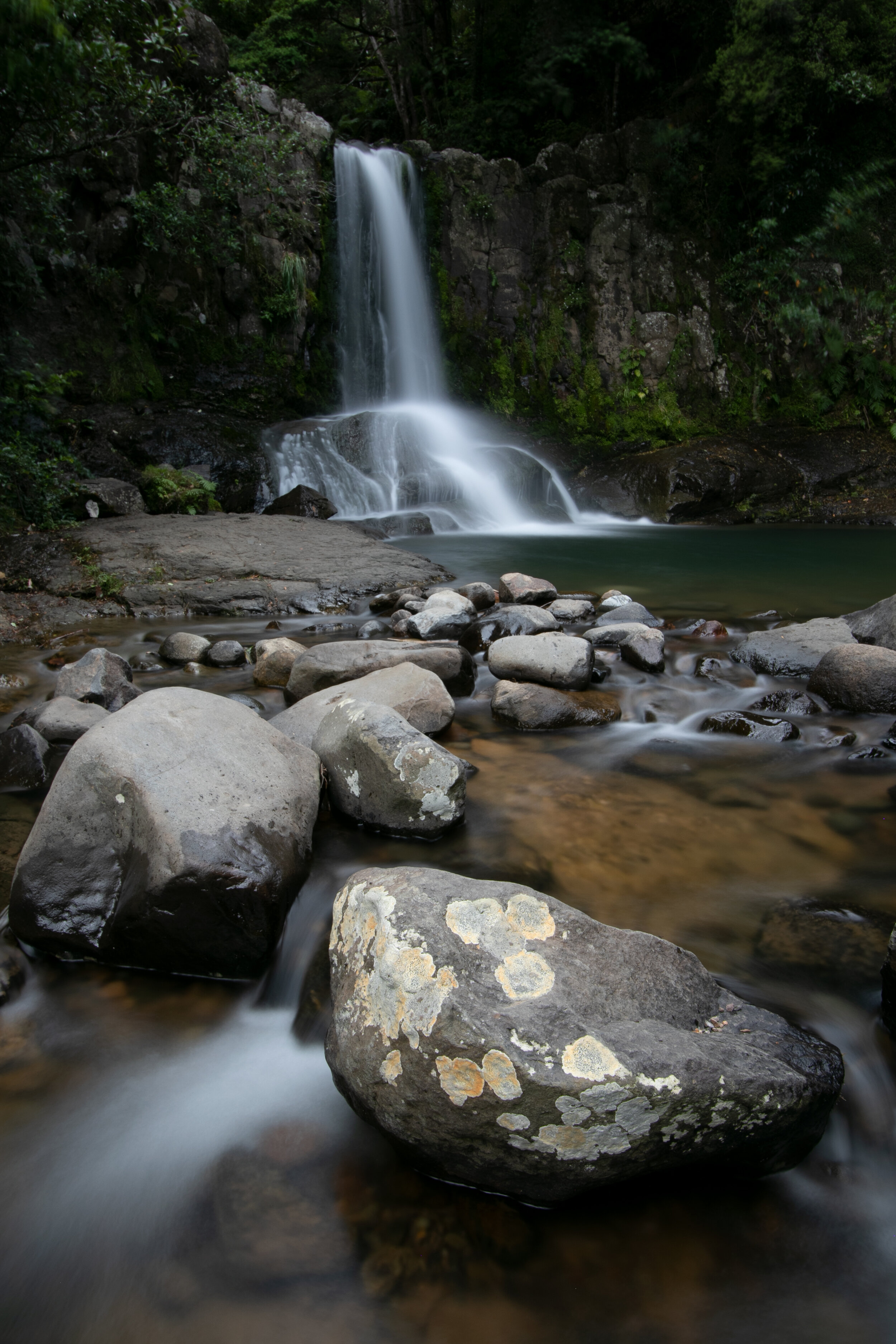 End of the Track.jpg