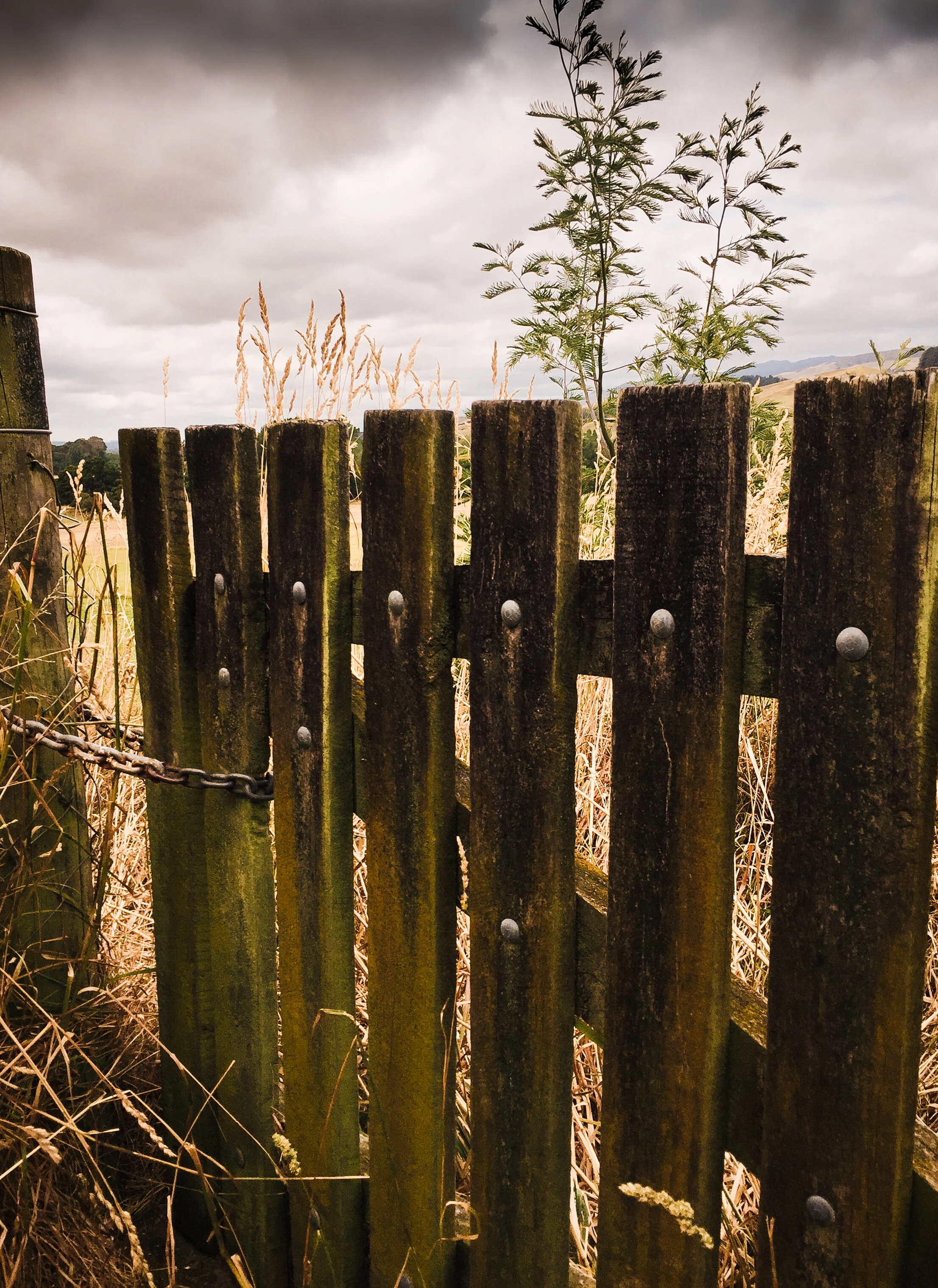 locked from the view.jpg