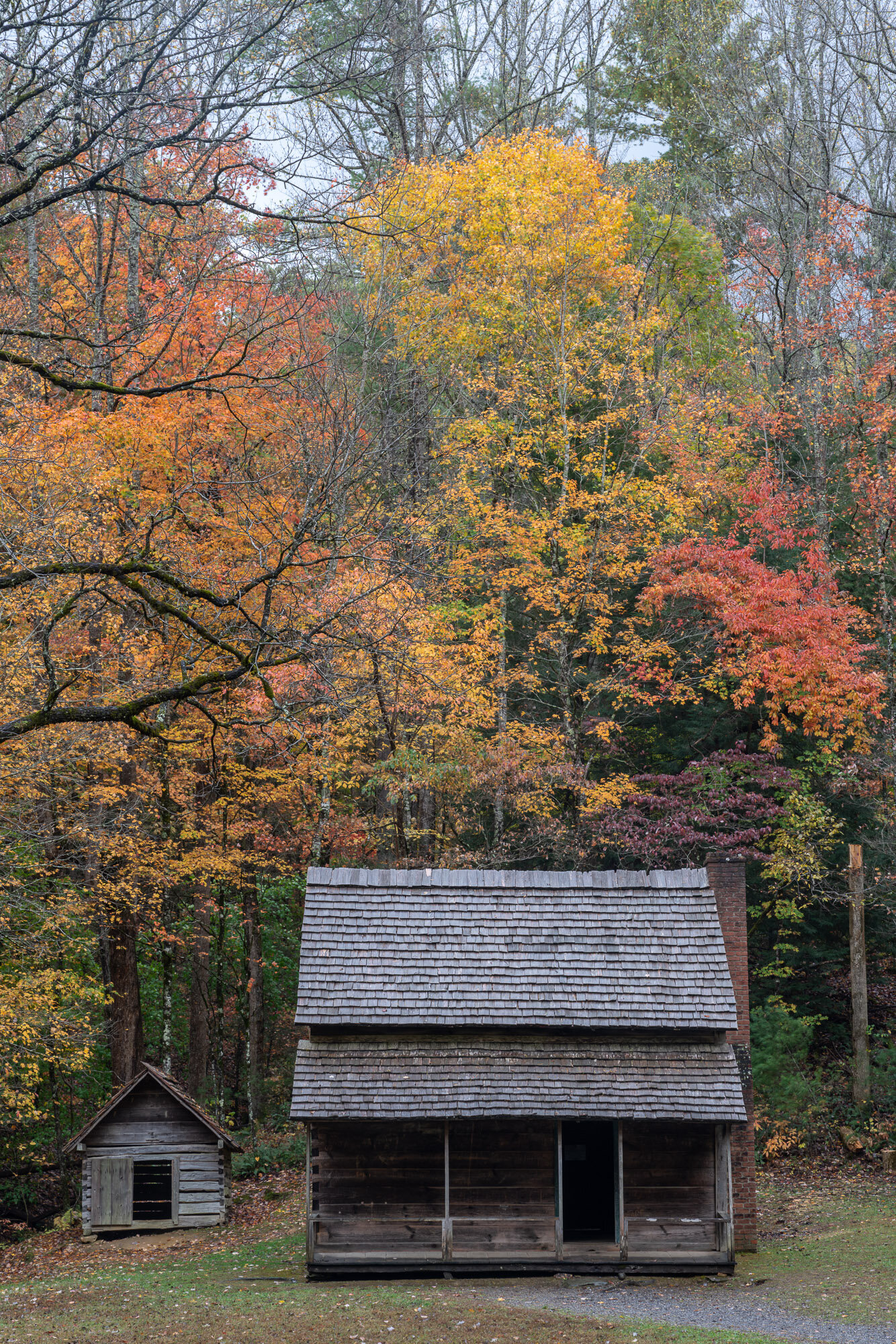 m_o_cades_cove_cabin.jpg