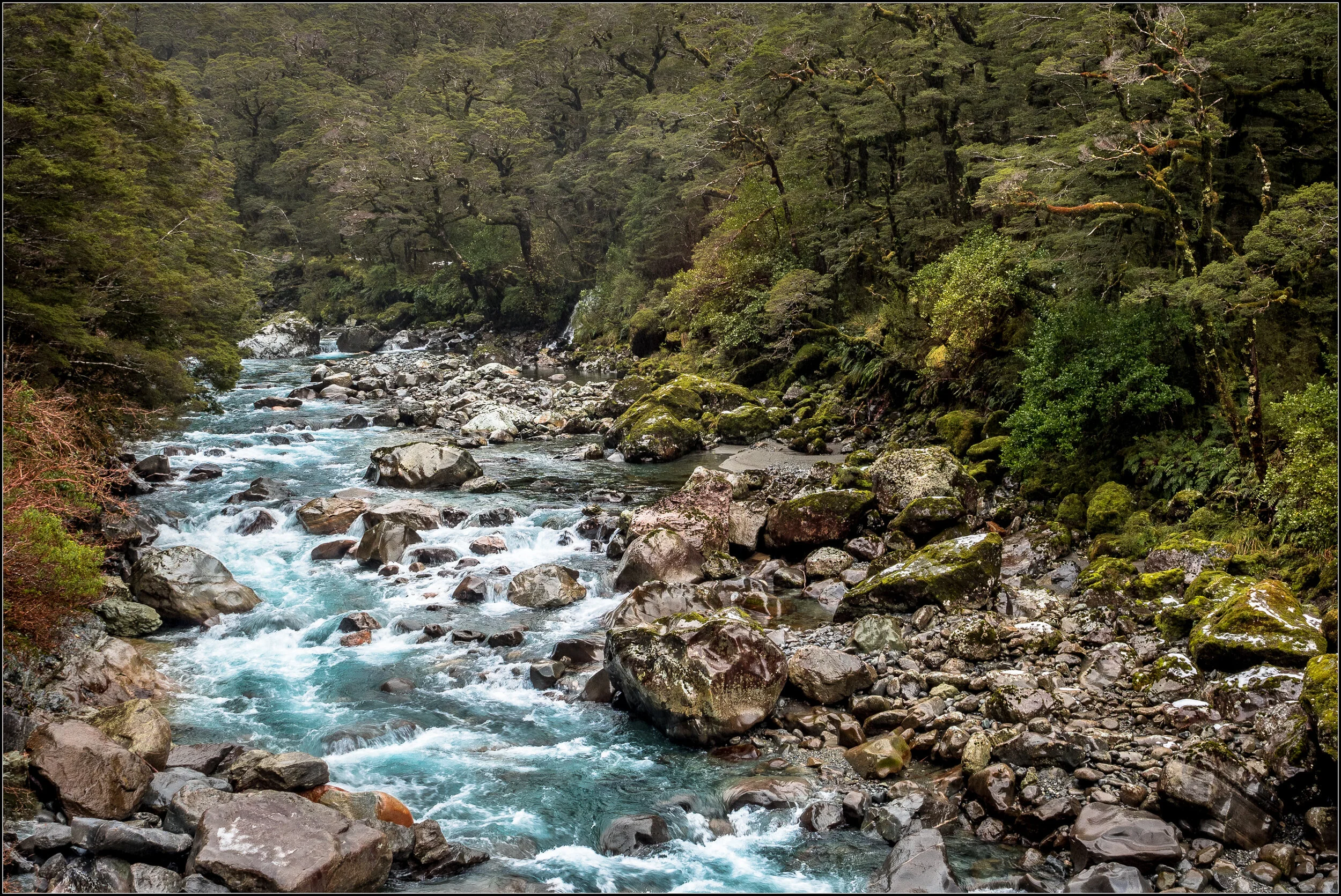 m_s_a_fiordland_river_scene.jpg