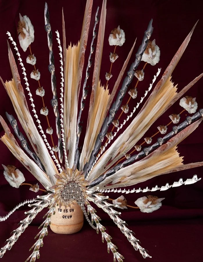 Blooming evolution | Carolyn Morris