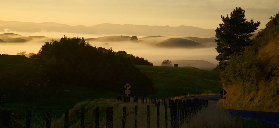 Pahiatua fog | Andrew Moore