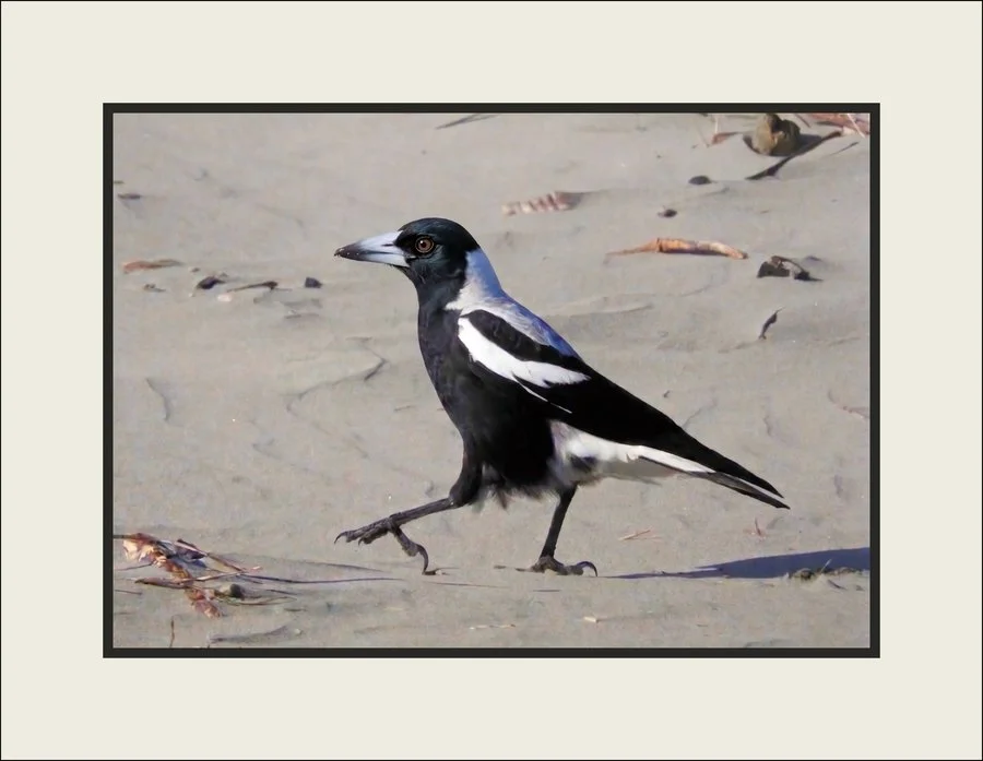 Stepping out | Ian Boag