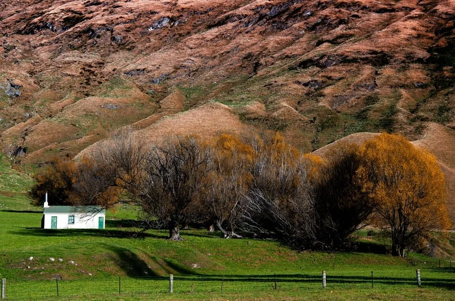 Drovers' rest | Graeme Platt