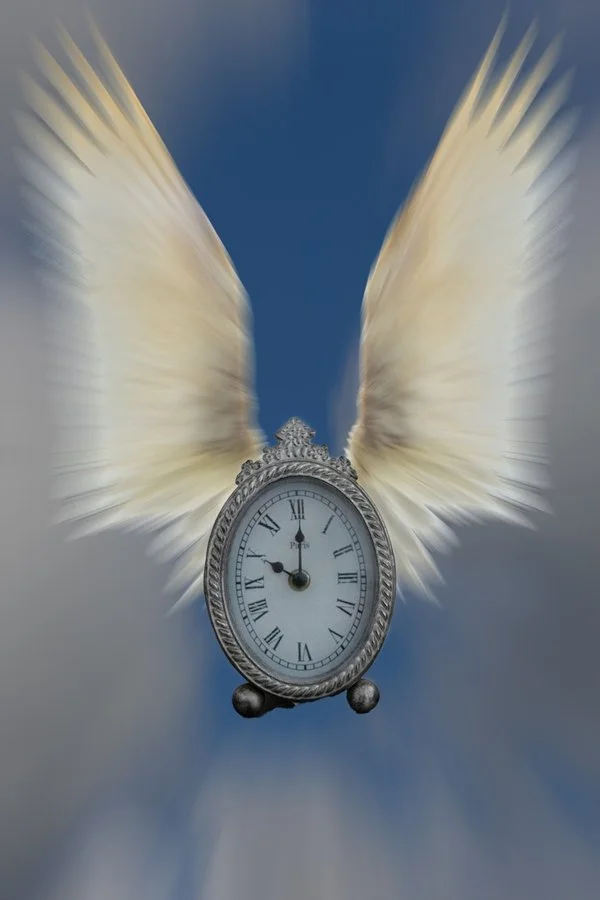 Time flies | Susan Atkins