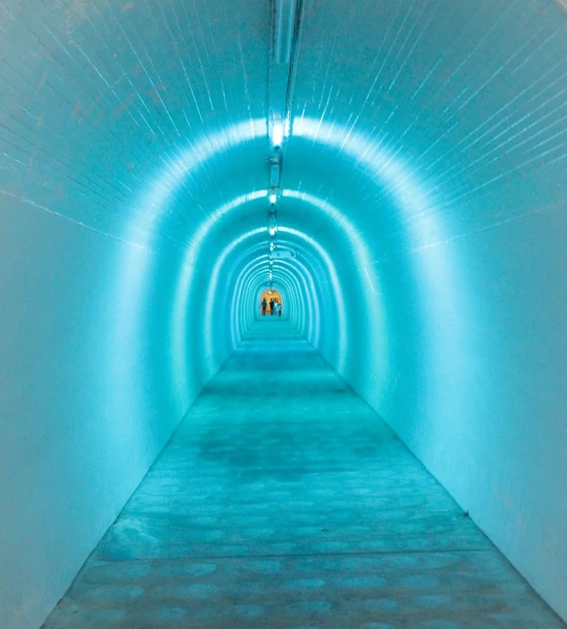 Blue on blue | Fiona Wood