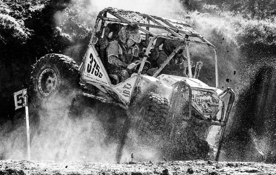 Into the dust | Erin Robson