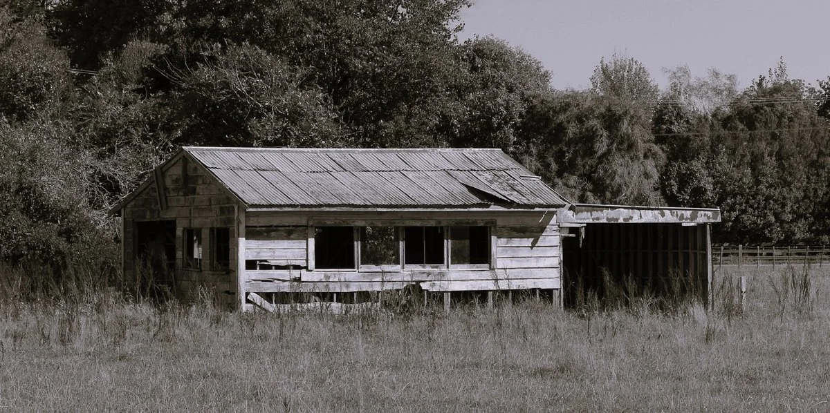Shed | Mary-Ann Moore